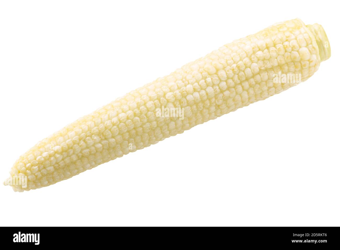 Unreifes geschältes Maiskolben oder Mais, isoliert Stockfoto