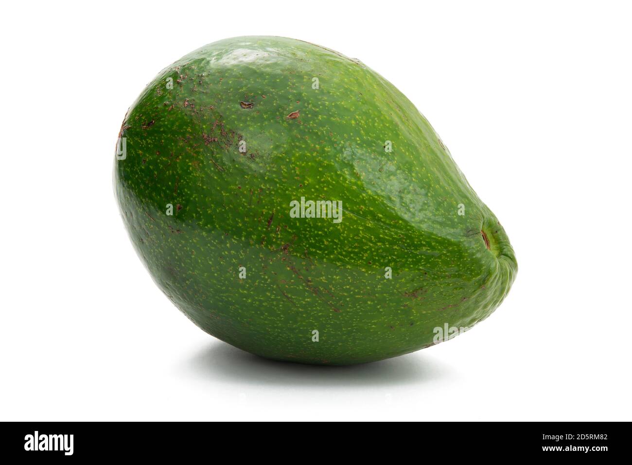 Ganz grüne Avocado Stockfoto