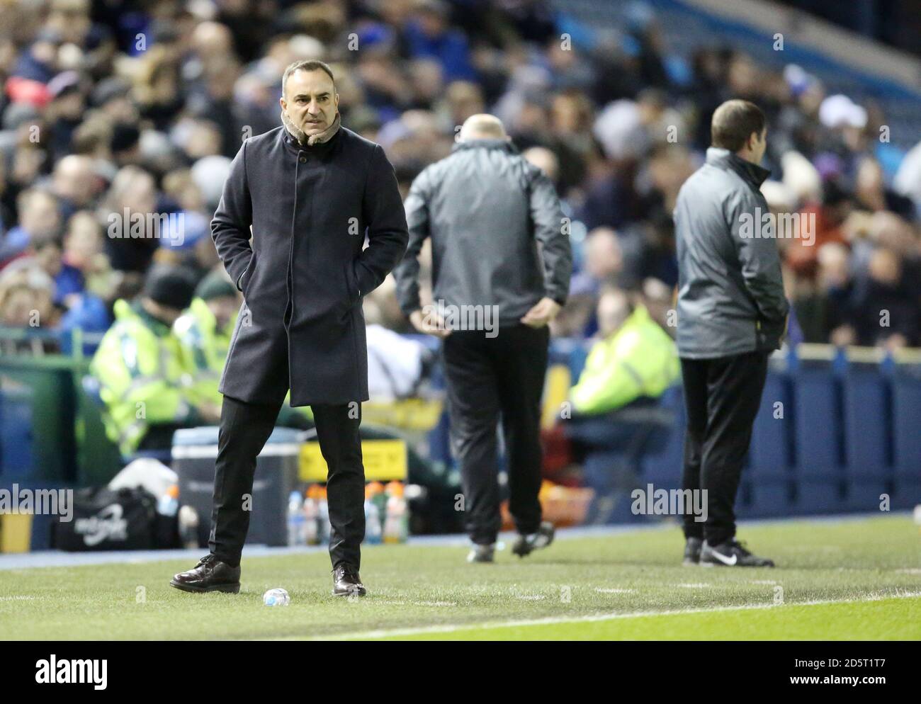 Sheffield Mittwoch Manager Carlos Carvalhal Stockfoto