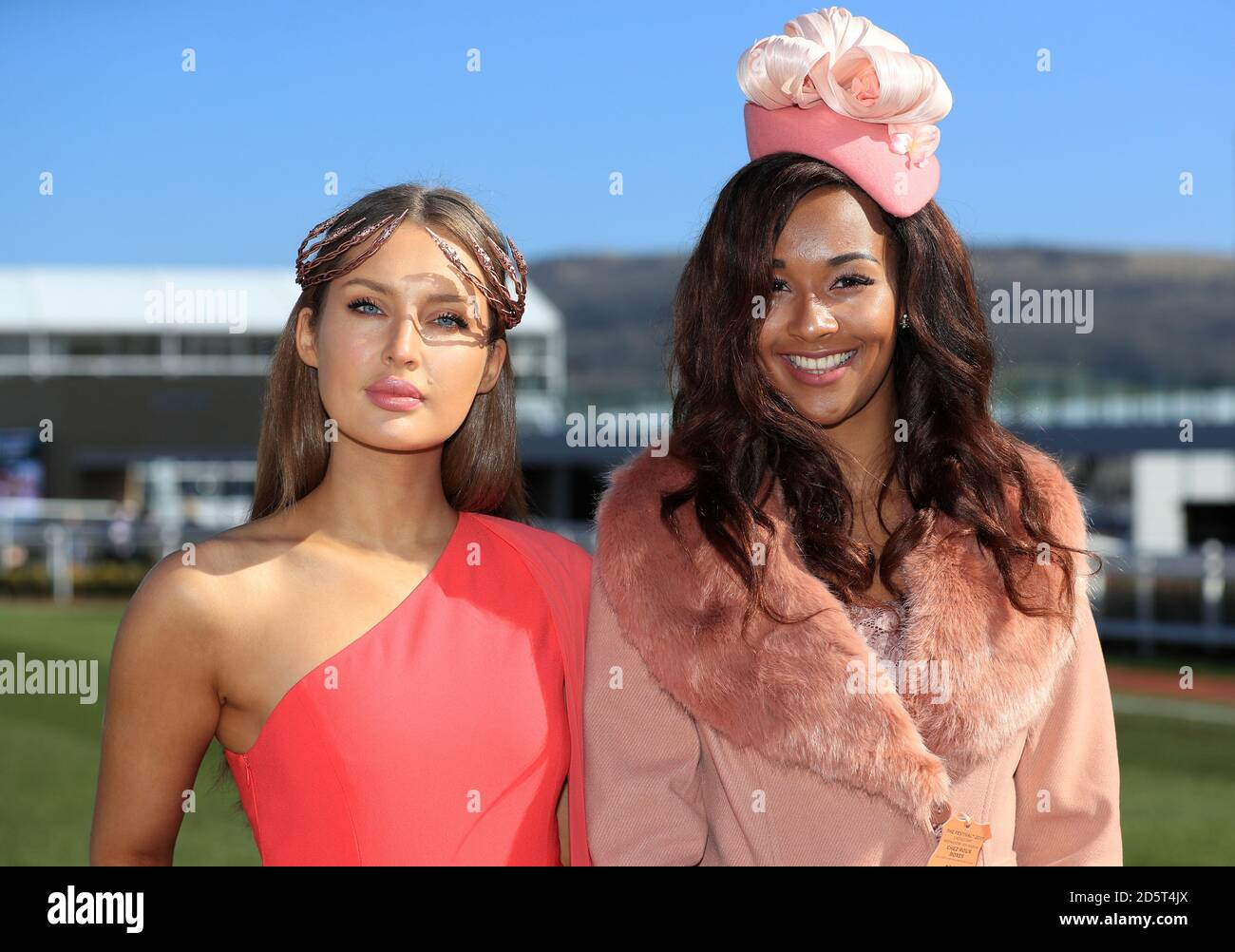 Ladies Day Ambassadors Roz Purcell (links) und Elizabeth Grant in Die Parade Ring während des Ladies Day der 2017 Cheltenham Festival Stockfoto