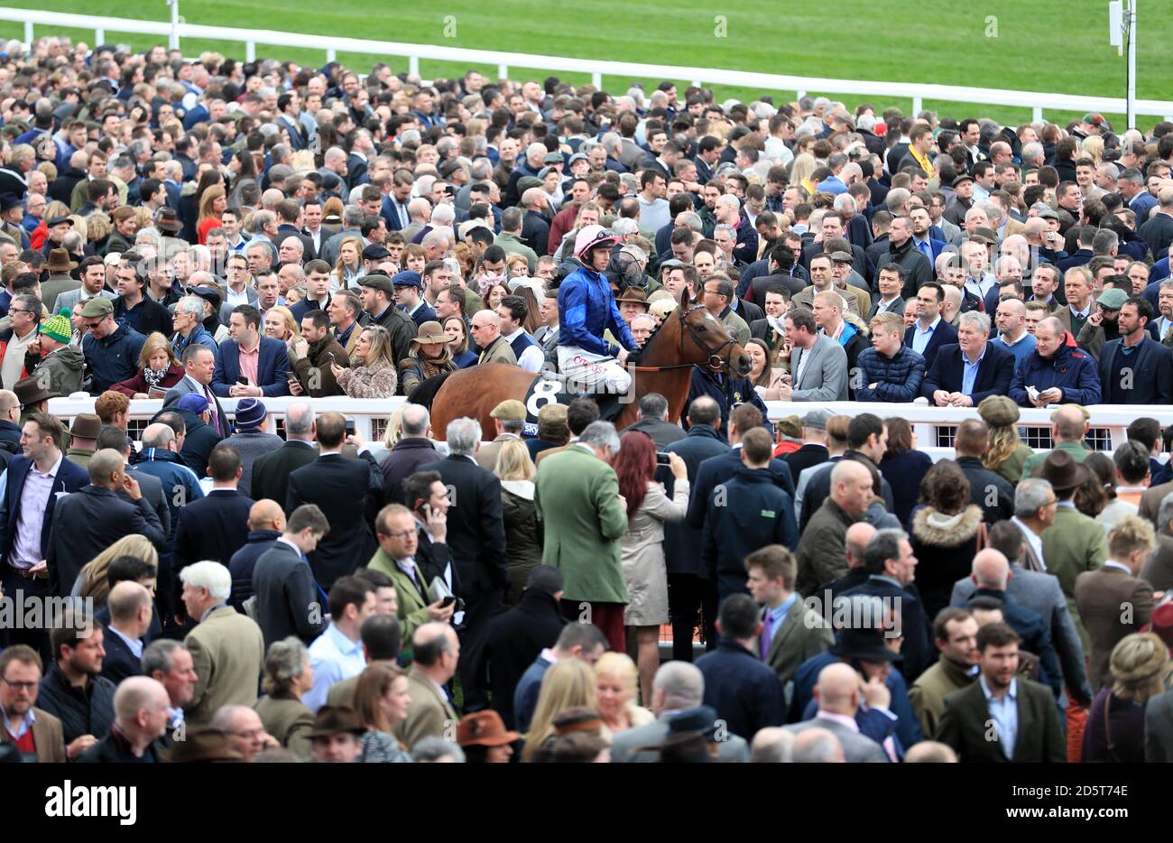 Racegoers beobachten Pferde im Paradering während des ersten Tages Des Cheltenham Festivals 2017 Stockfoto