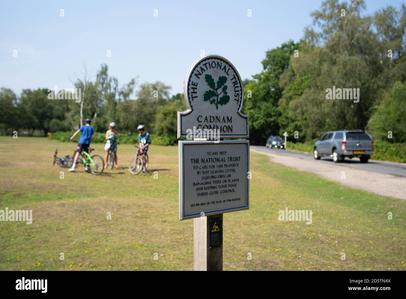 Cadnam Common National Trust landet im New Forest Hampshire mit Familien, die den Platz an einem sonnigen Sonntagnachmittag genießen. Stockfoto