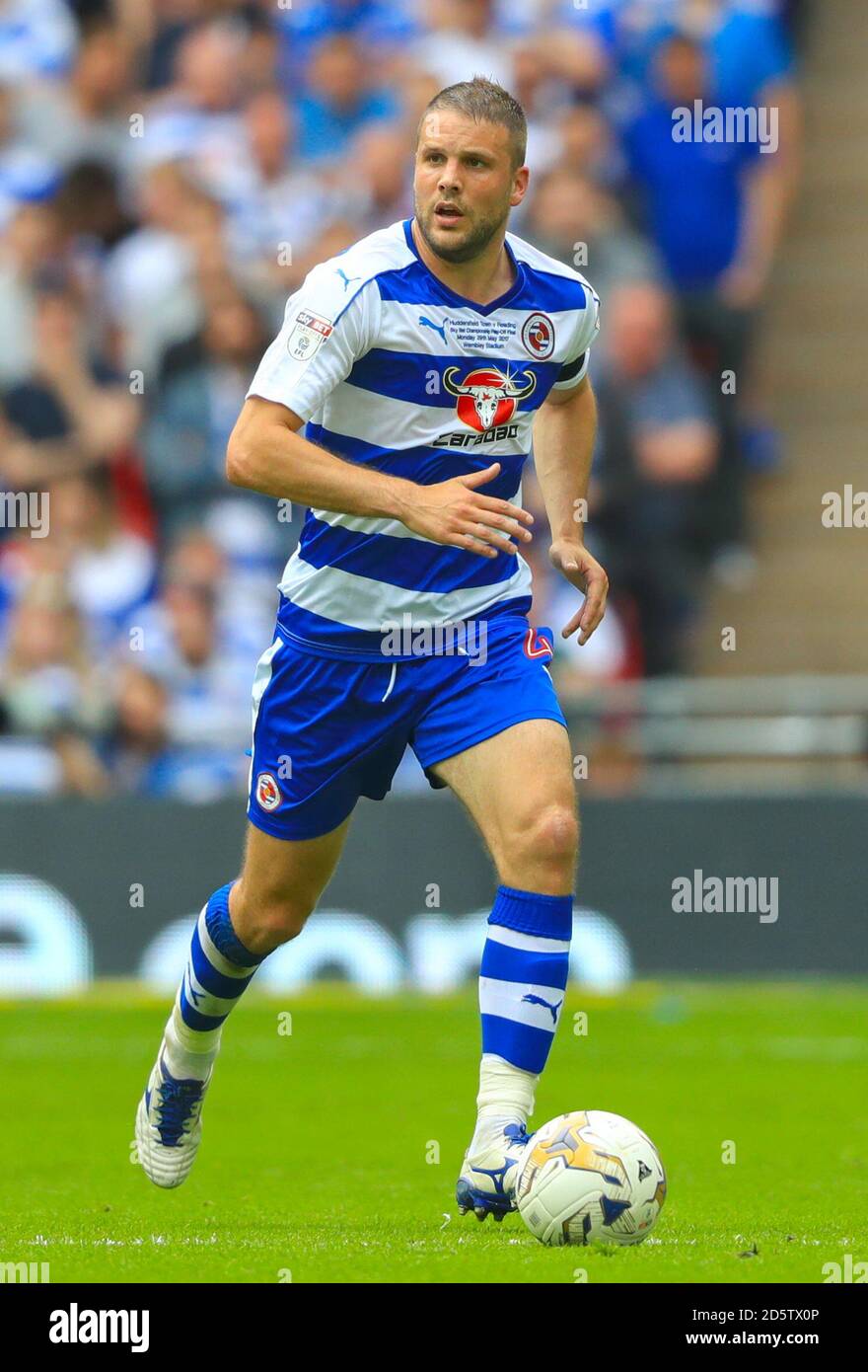 Joey van Den Berg lesen Stockfoto