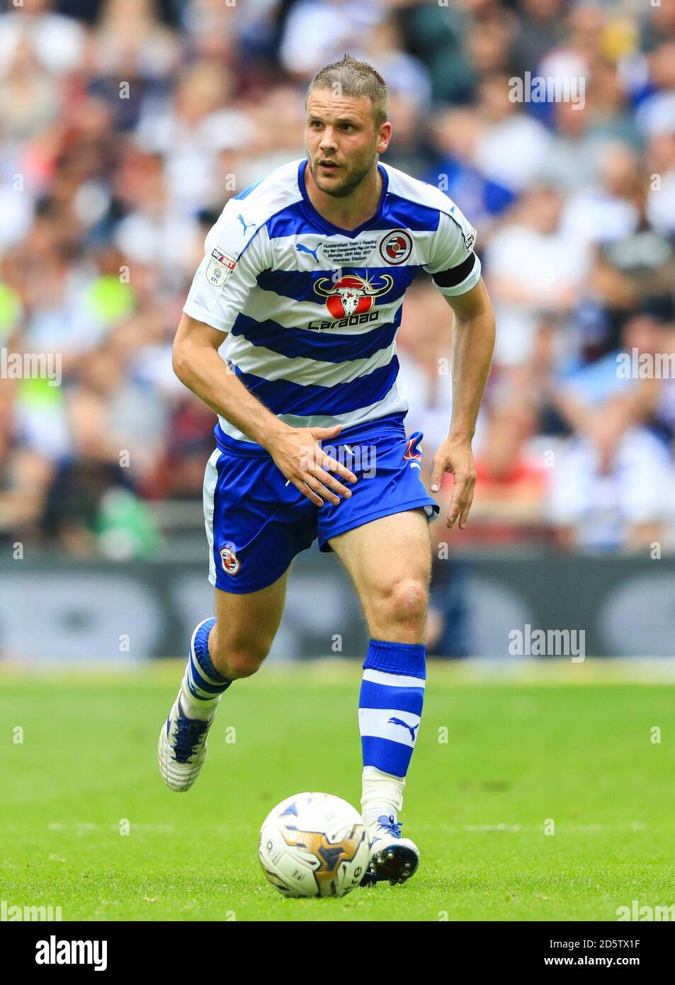 Joey van Den Berg lesen Stockfoto