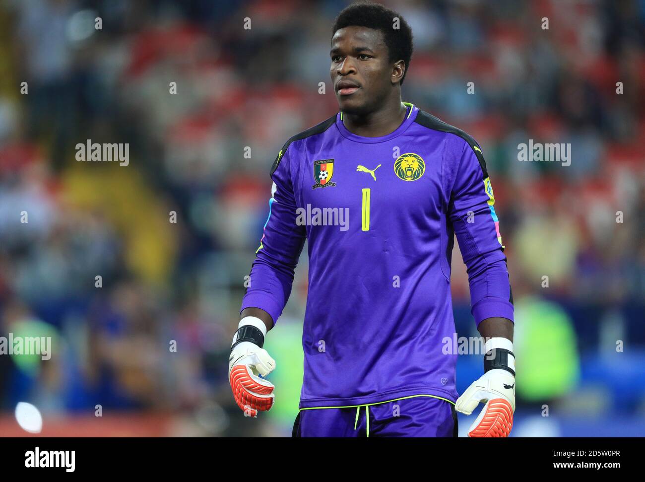 Kamerun Torwart Fabrice Ondoa Stockfoto