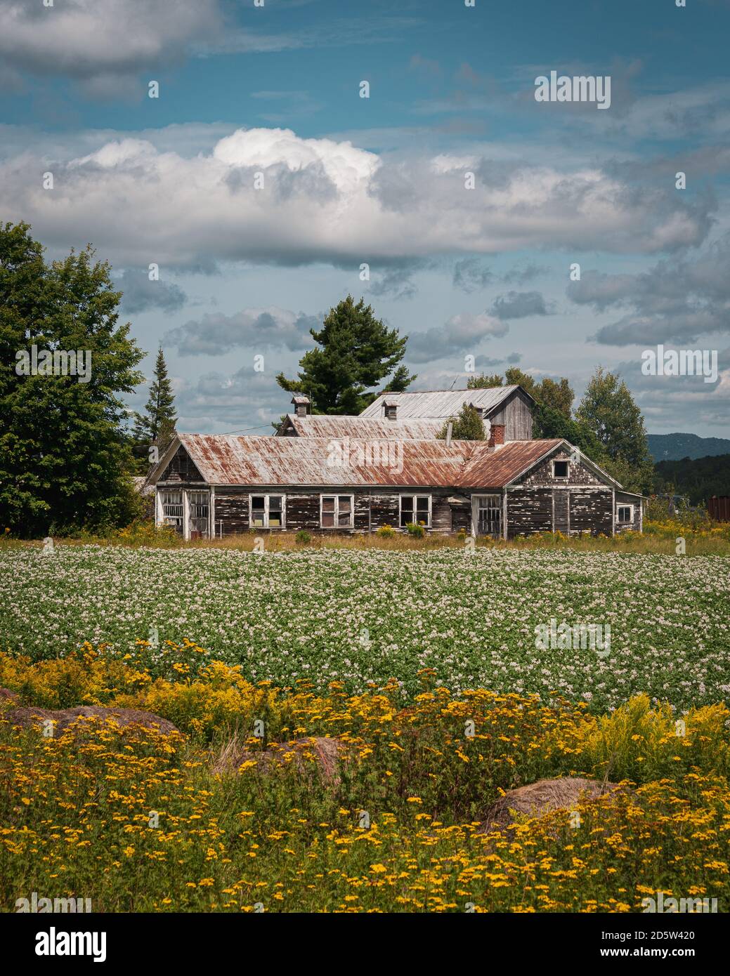 Alte Scheune in den Adirondack Mountains, New York Stockfoto