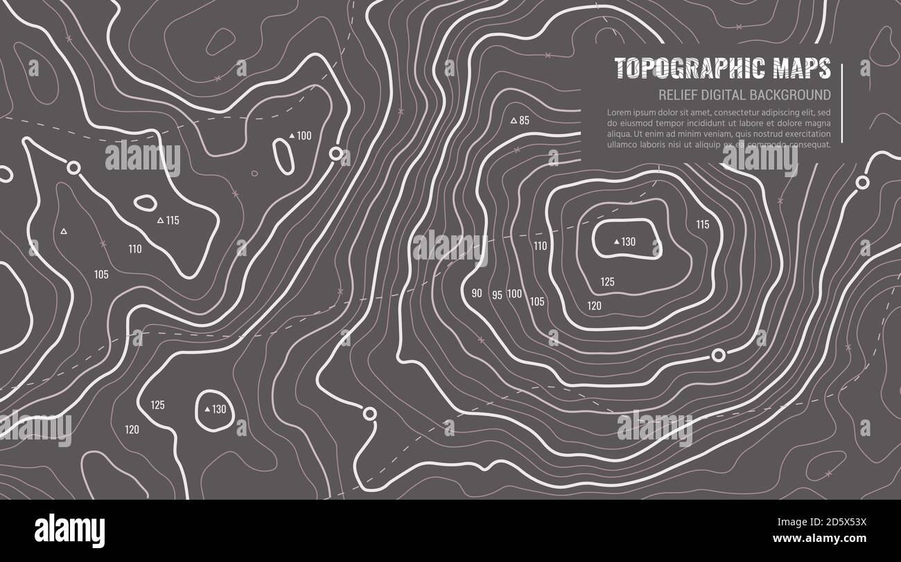 Geografisches Topografisches Kartenraster. Topographie Kartenhintergrund. Vektor-Webbanner in Grautönen. Stock Vektor