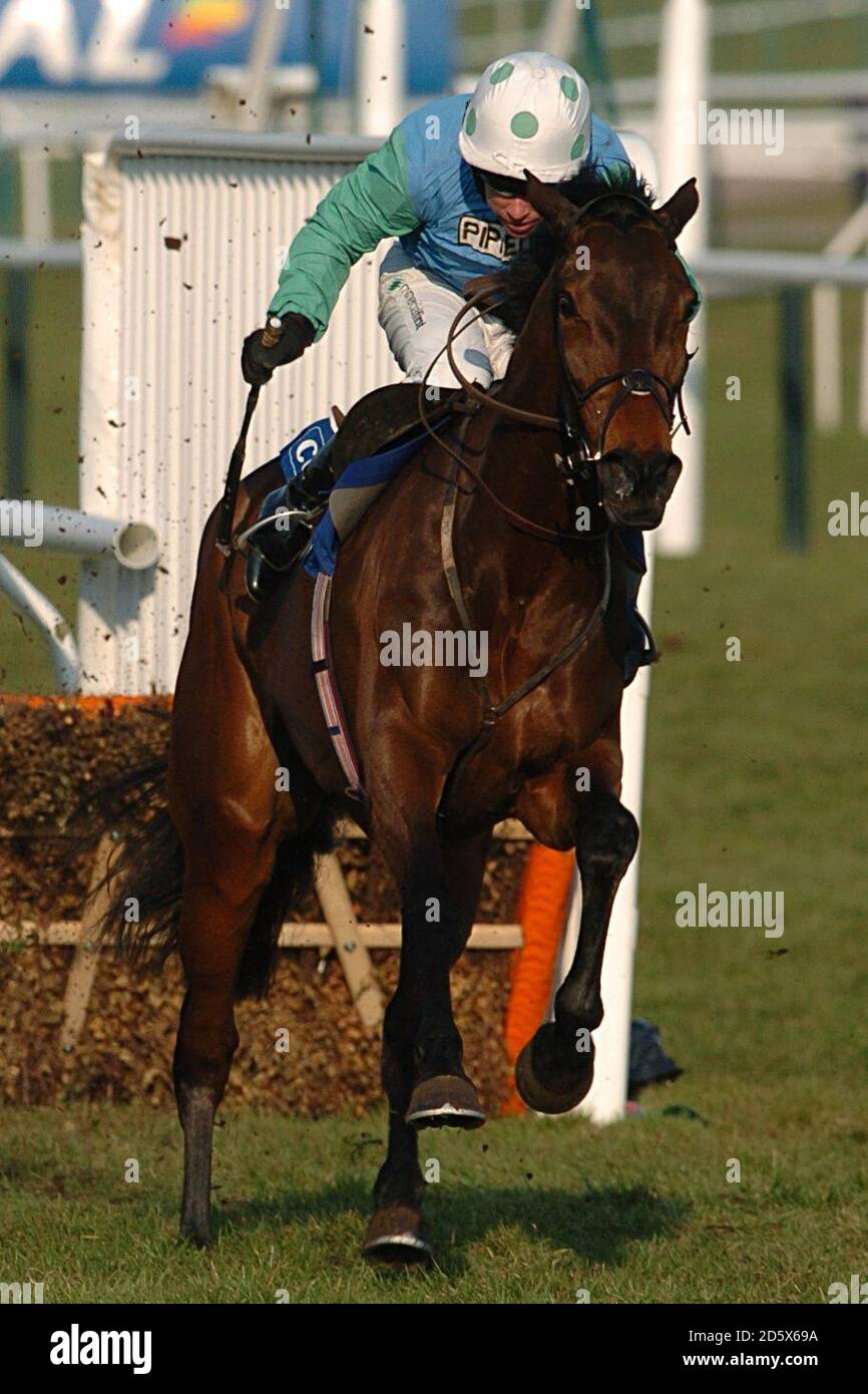 Inch Pride mit Timmy Murphy im Coral Cup (A Handicap Hurdle Race) (Klasse 1) Stockfoto