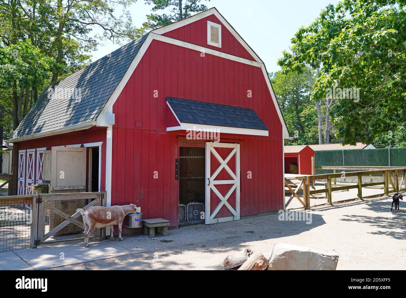 CAPE MAY COUNTY, NJ-21 JUL 2020- Blick auf den Cape May County Park & Zoo, einen zoologischen Park in Cape May County, New Jersey, auf dem Jersey Shor Stockfoto