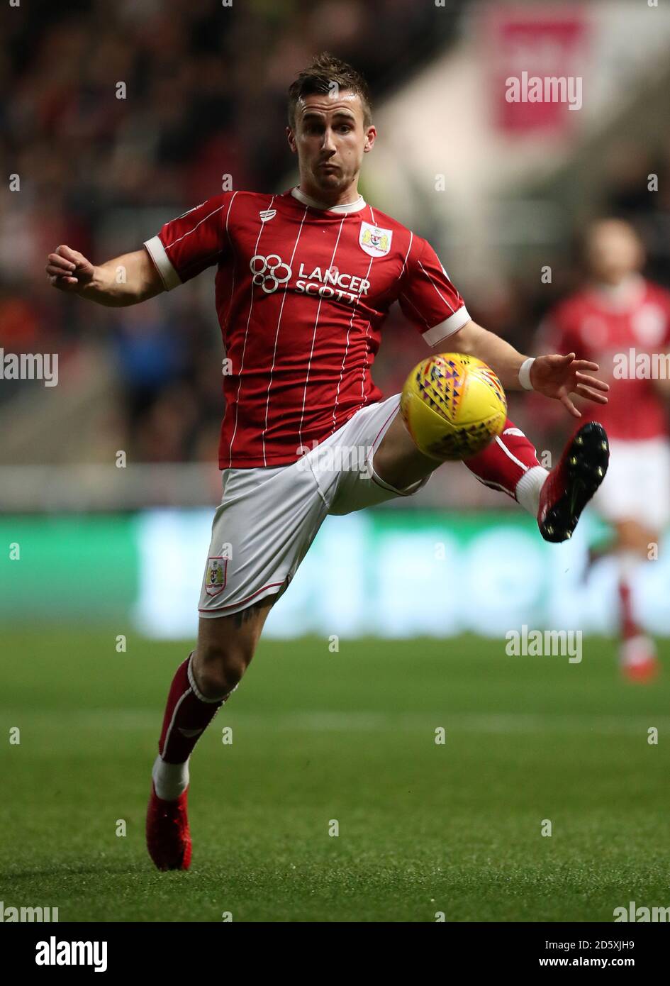 Bristol City Joe Bryan Stockfoto