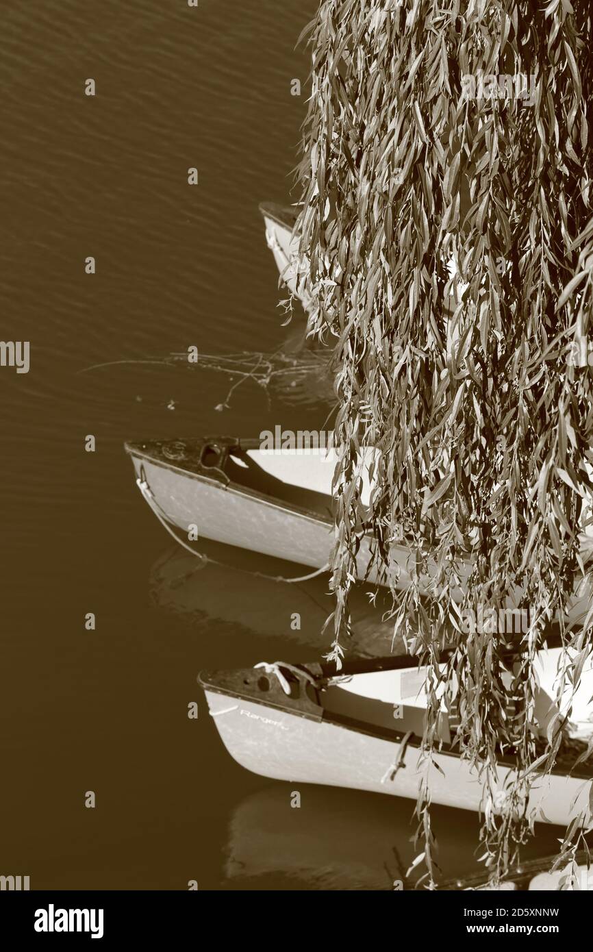 'Schrullige Kajaks' Oktober 2020 Dieses Foto wurde bei einem Bootsverleih im Dorf Lechlade-on-Thames, Cotswold's Gloucestershire, aufgenommen. Stockfoto