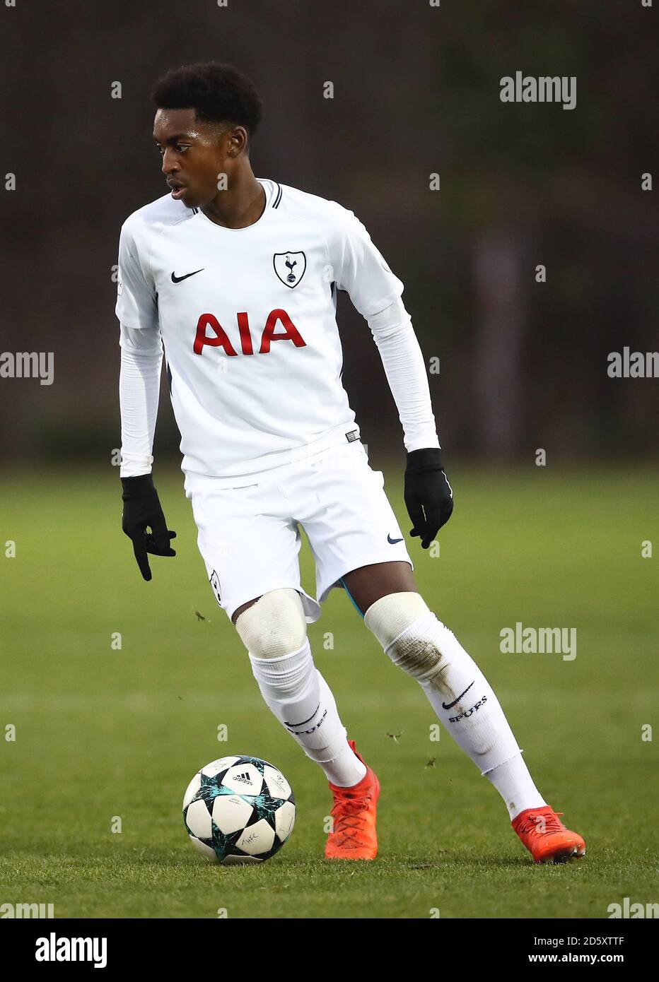 Tottenham Hotspur's Edmond-Paris Maghoma Stockfoto