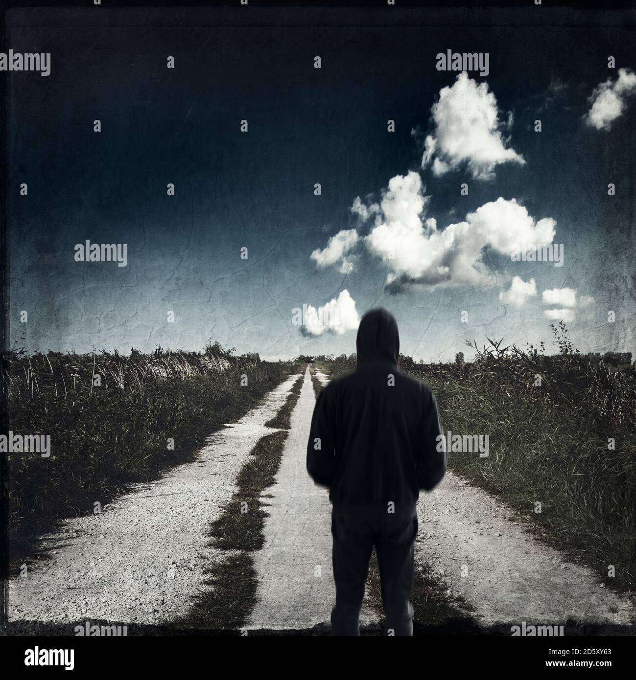 Nan stehen auf Landstraße, mit Blick auf Feld, Rückansicht Stockfoto