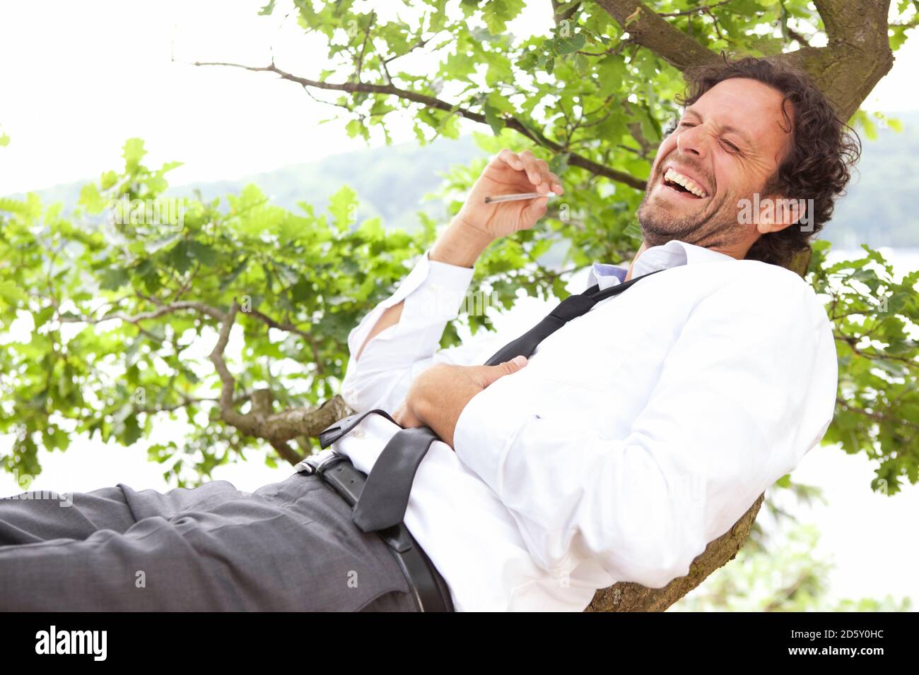 Deutschland, entspannte Geschäftsmann im Baum Rauchen eines Joints liegend Stockfoto