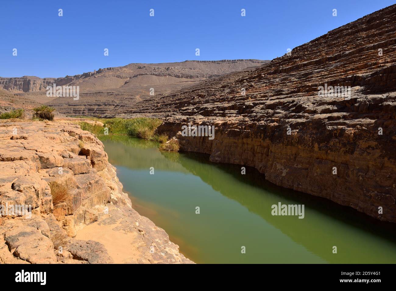 Algerien, Tassili n ' Ajjer National Park, Iherir, Wasser in einem Guelta in Idaran Canyon Stockfoto