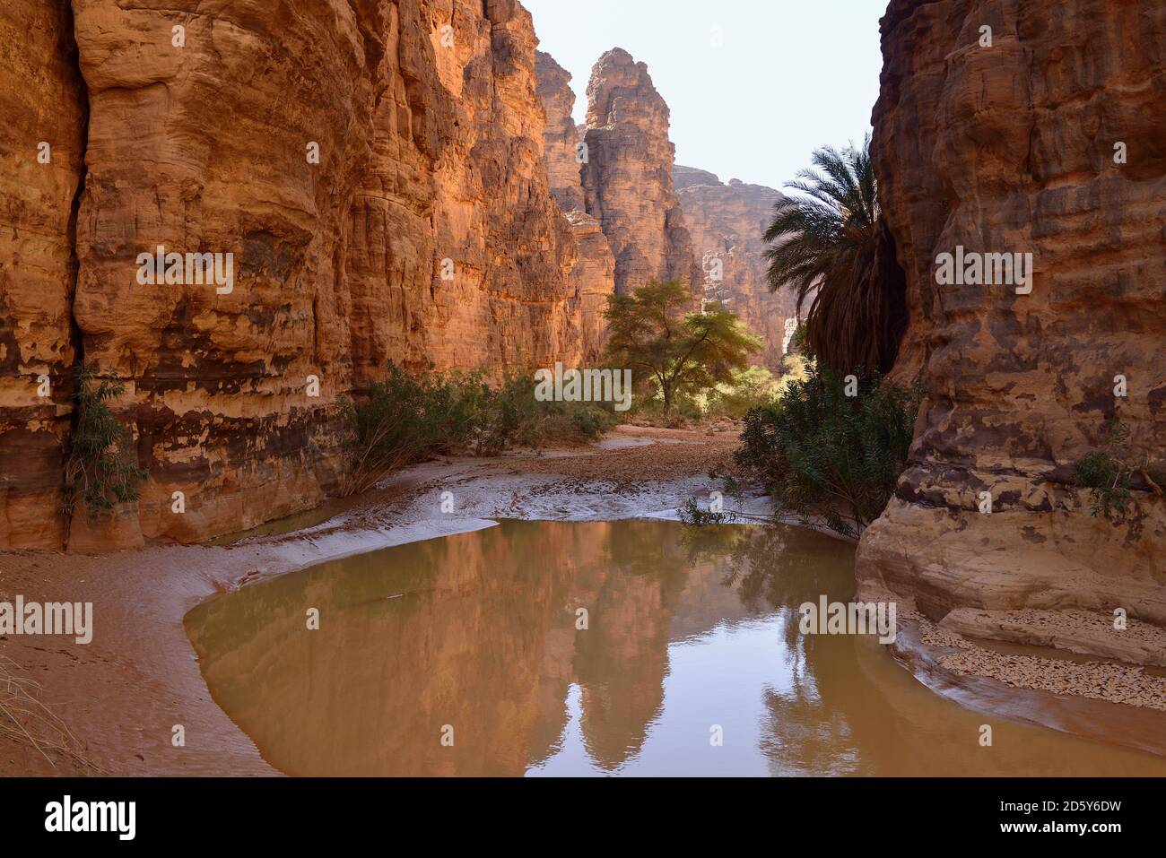 Algerien, Tassili n ' Ajjer National Park, Oued Essendilene, Wasserloch im Oued Essendilene Stockfoto