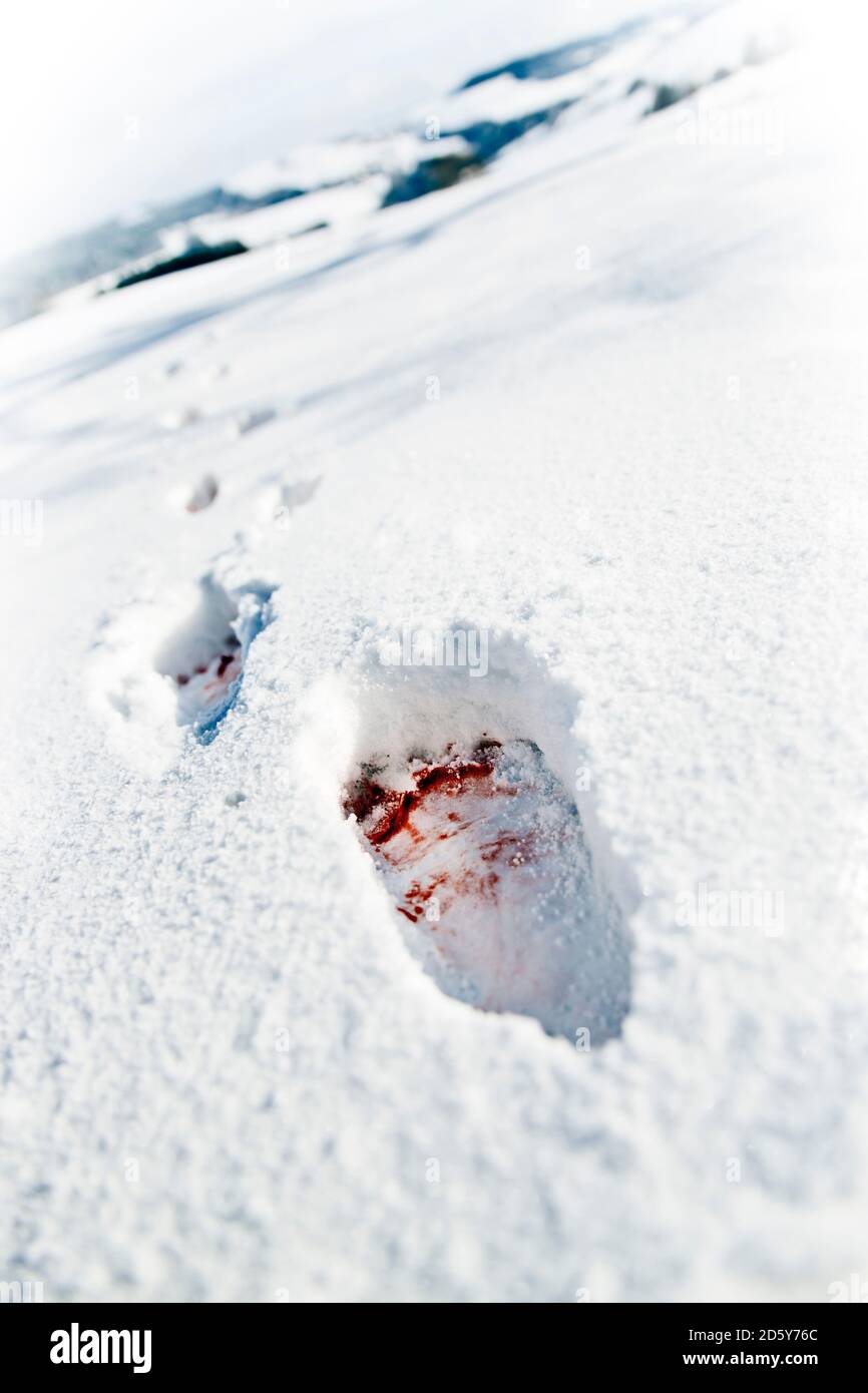 Blutigen Fußspuren im Schnee Stockfoto