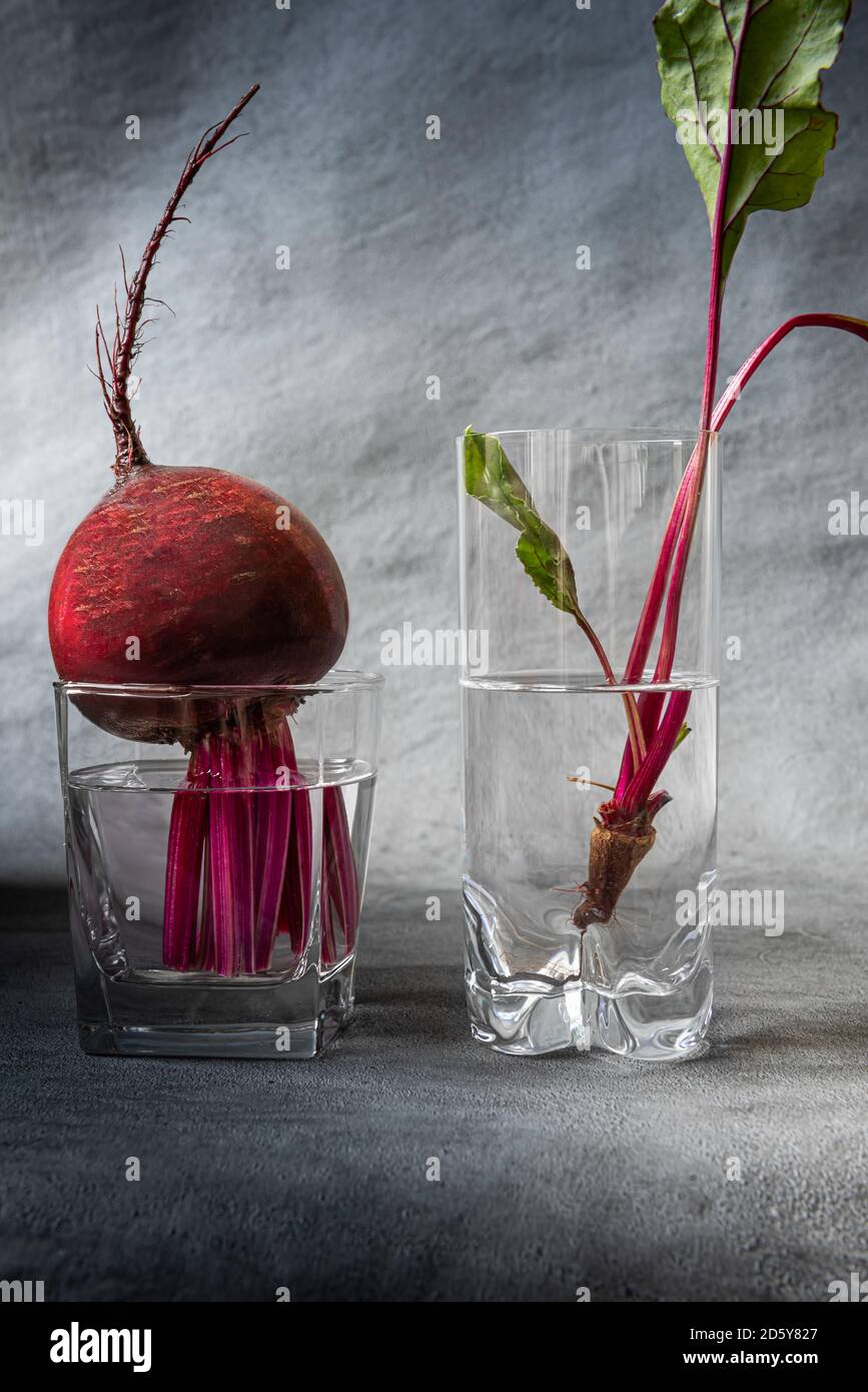 Nahaufnahme von frischen, leuchtend roten Rote Bete- und Rote Bete-Blättern in zwei mit sauberem Wasser gefüllten Gläsern. Vertikaler strukturierter grauer Hintergrund mit Kopierbereich. H Stockfoto