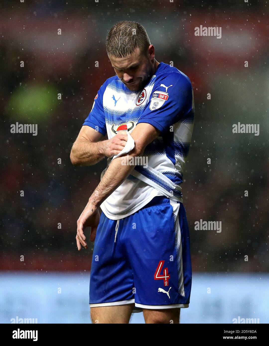 Joey van Den Berg lesen Stockfoto