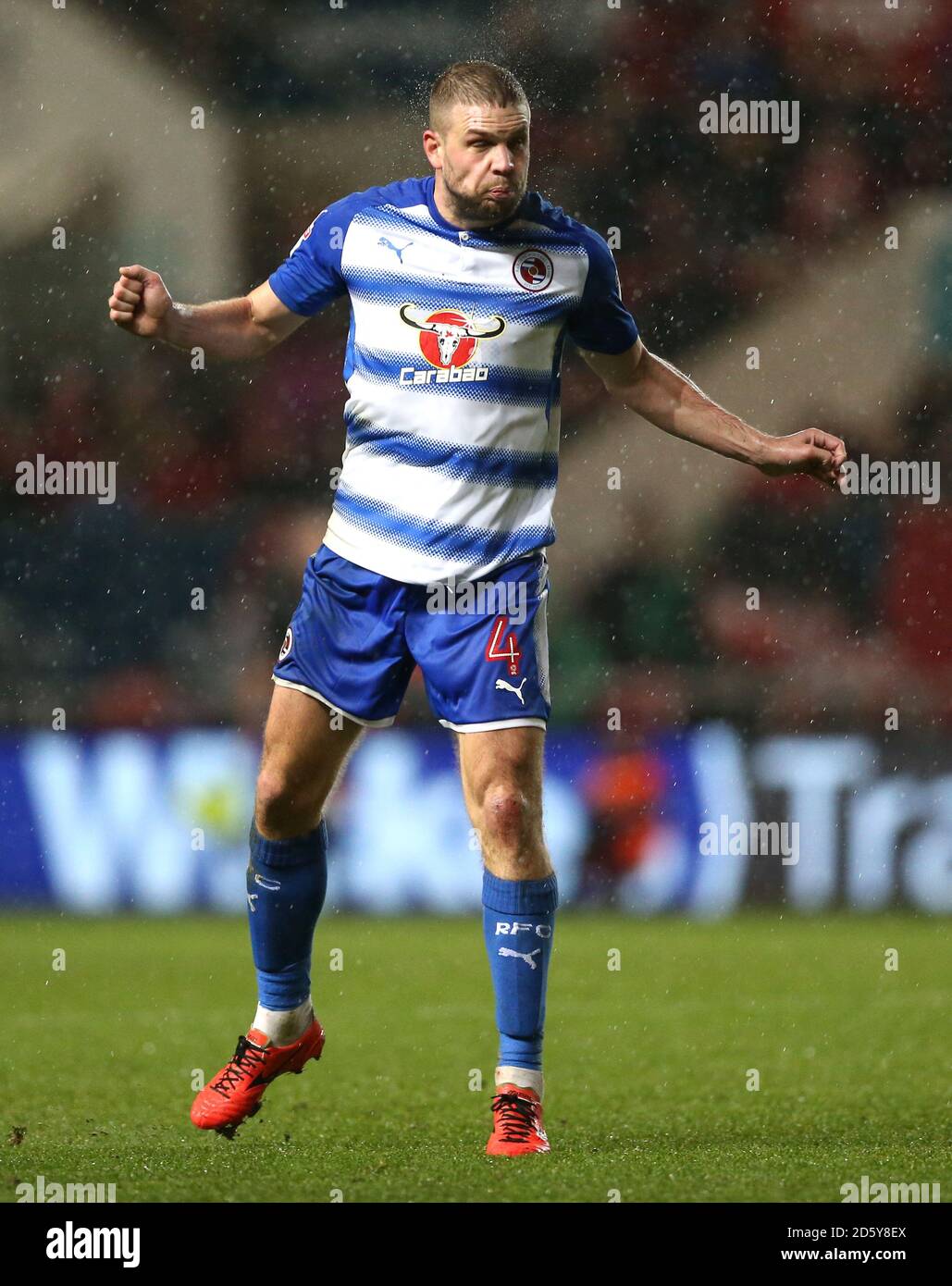 Joey van Den Berg lesen Stockfoto