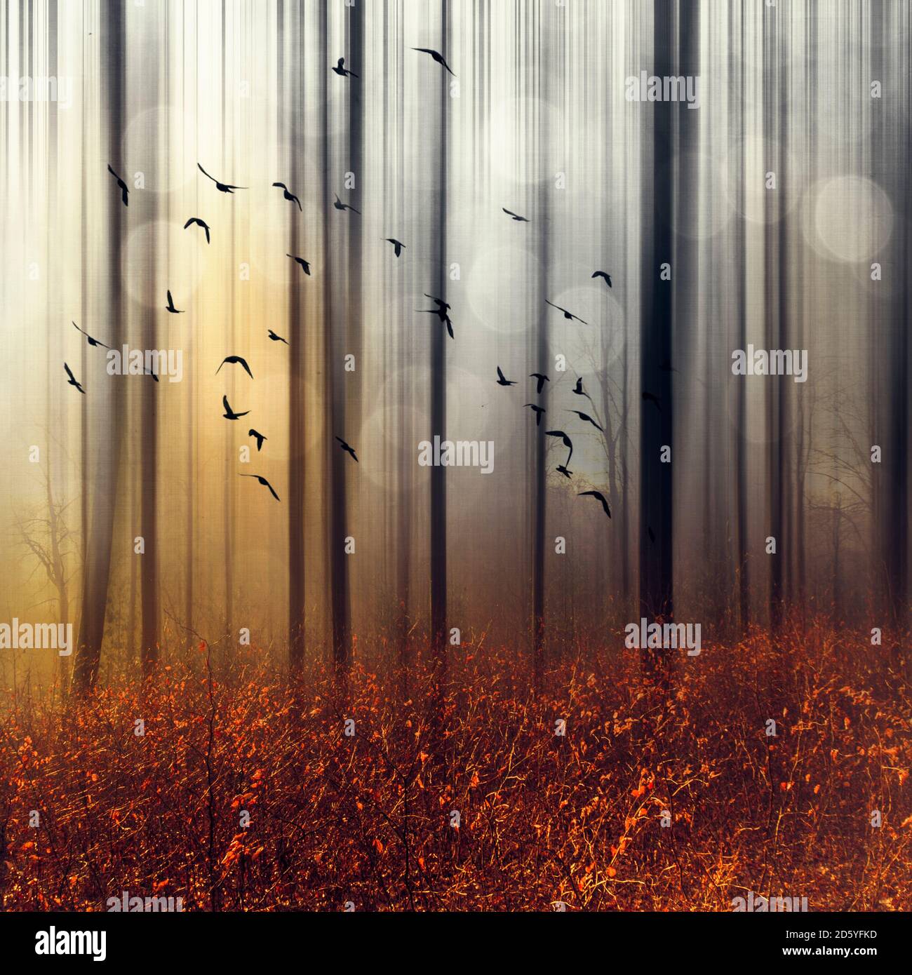 Vogelschwarm im herbstlichen Wald, digital manipuliert Stockfoto
