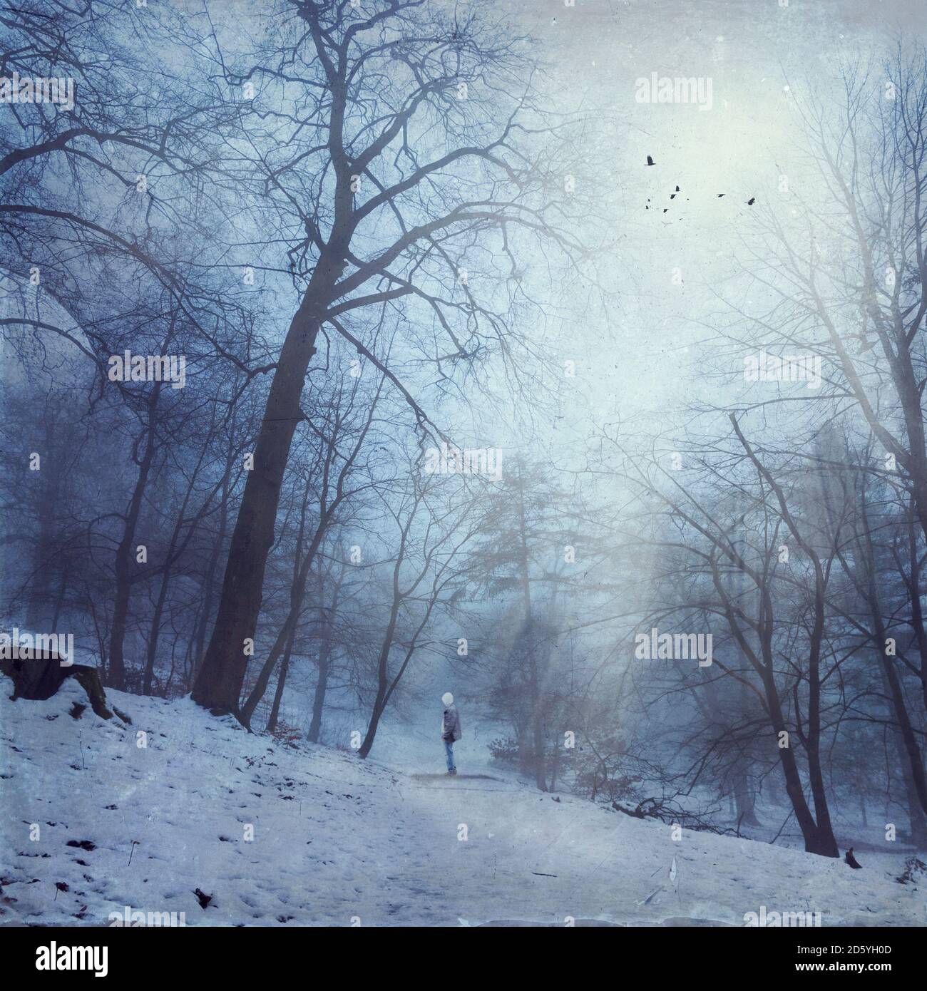 Deutschland, in der Nähe von Wuppertal, Mann auf Waldweg im Winter, Lichtstrahlen und Vögel, strukturierte Effekt Stockfoto