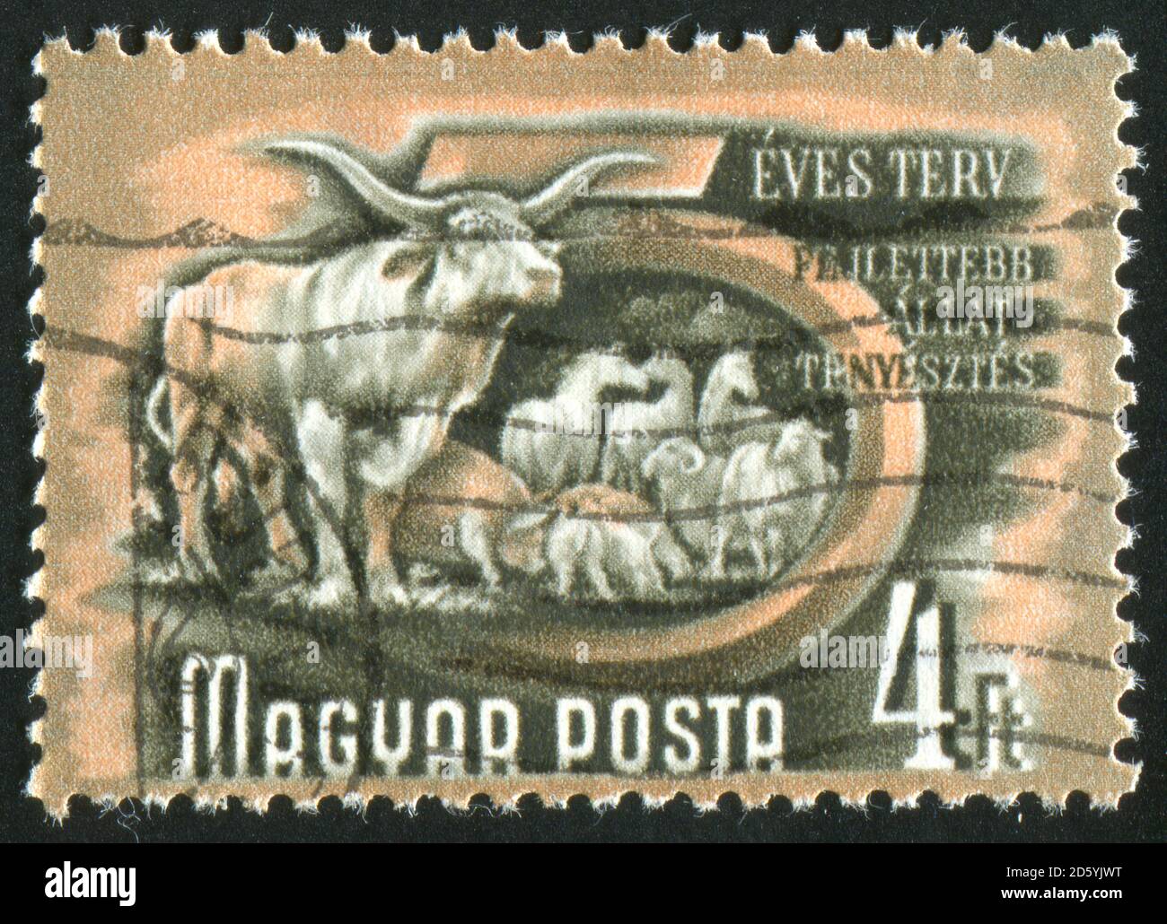 UNGARN- UM 1950: Stempel gedruckt von Ungarn, zeigt Vieh, um 1950 Stockfoto