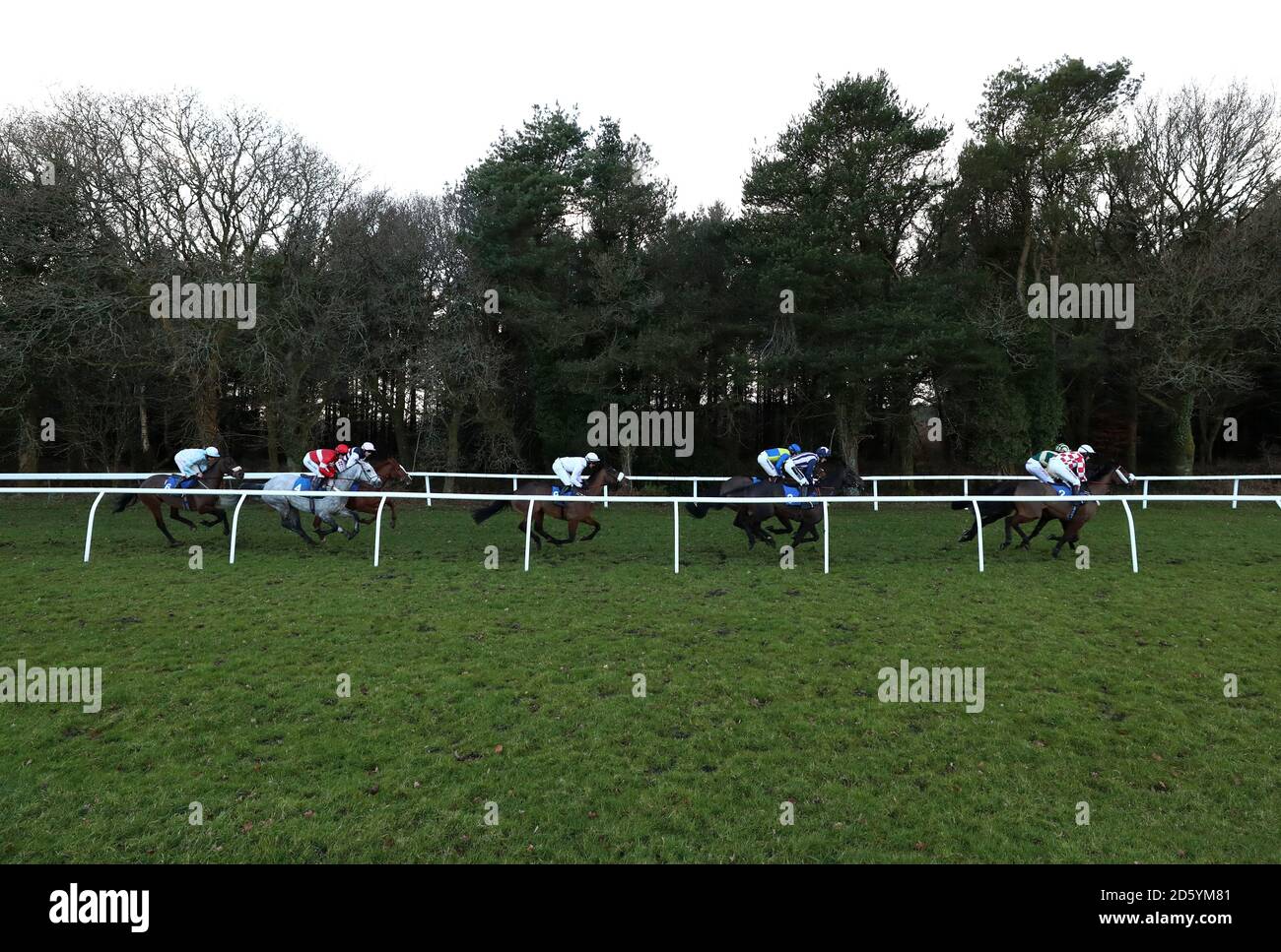 Läufer und Reiter im Pertemps Netzwerk Handicap Hürde während Super Sonntag auf der Exeter Racecourse Stockfoto