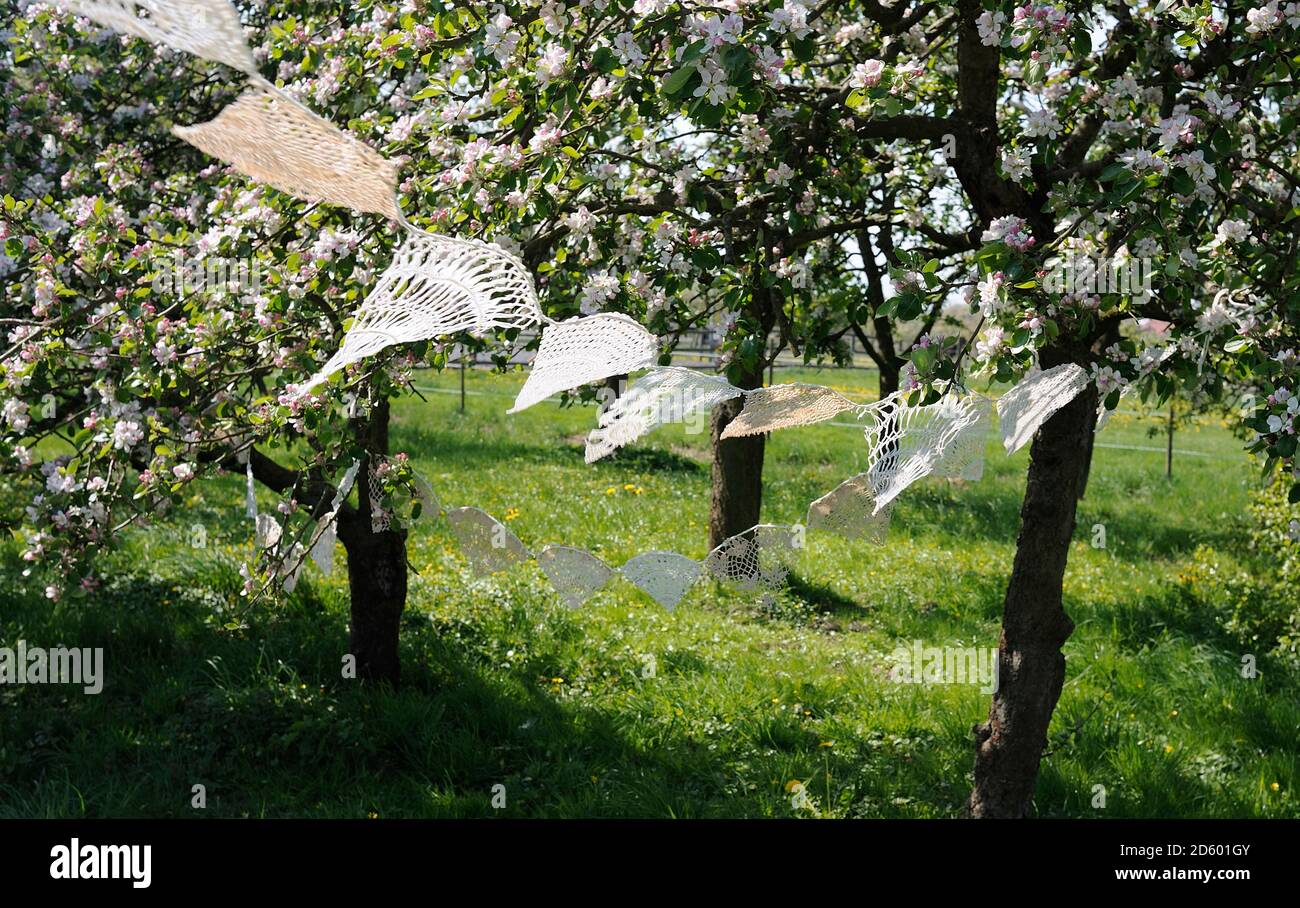 Deutschland, Hamburg, Teile häkeln alte Tischdecken zwischen blühenden Apfelbäume hängen Stockfoto