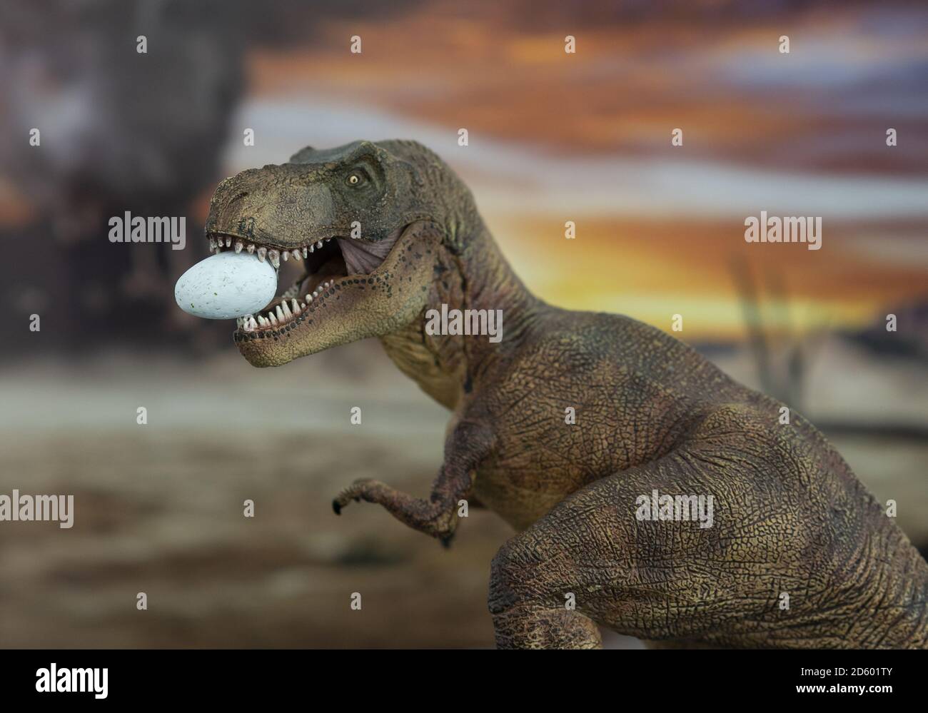 Mutter Tyrannosaurus rex mit Ei von Baby Tyrannosaur in den Mund mit jurassic Land im Hintergrund. Stockfoto