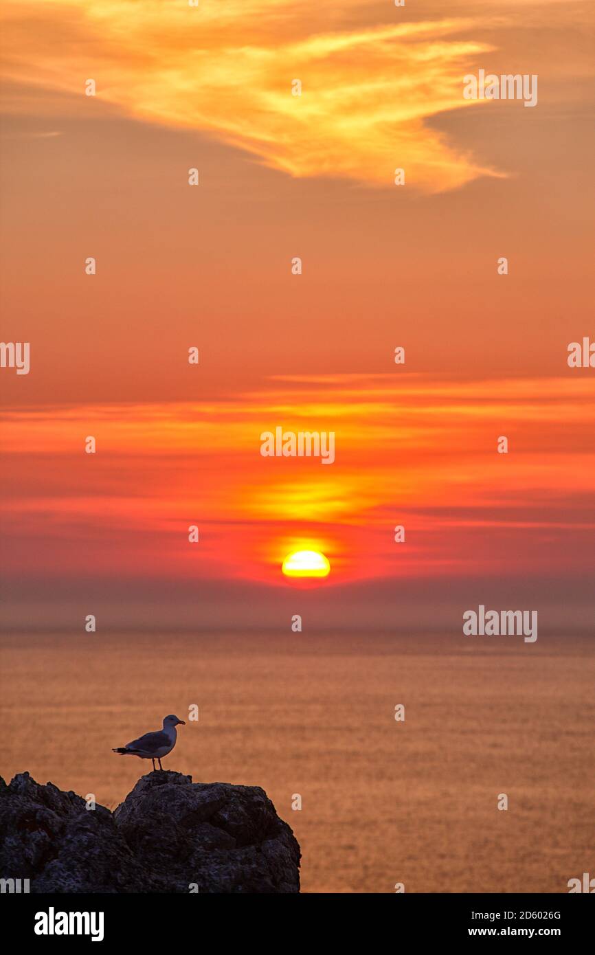 Frankreich, Bretagne, Pointe de Pen-Hir, felsigen Küste im Abendlicht Stockfoto