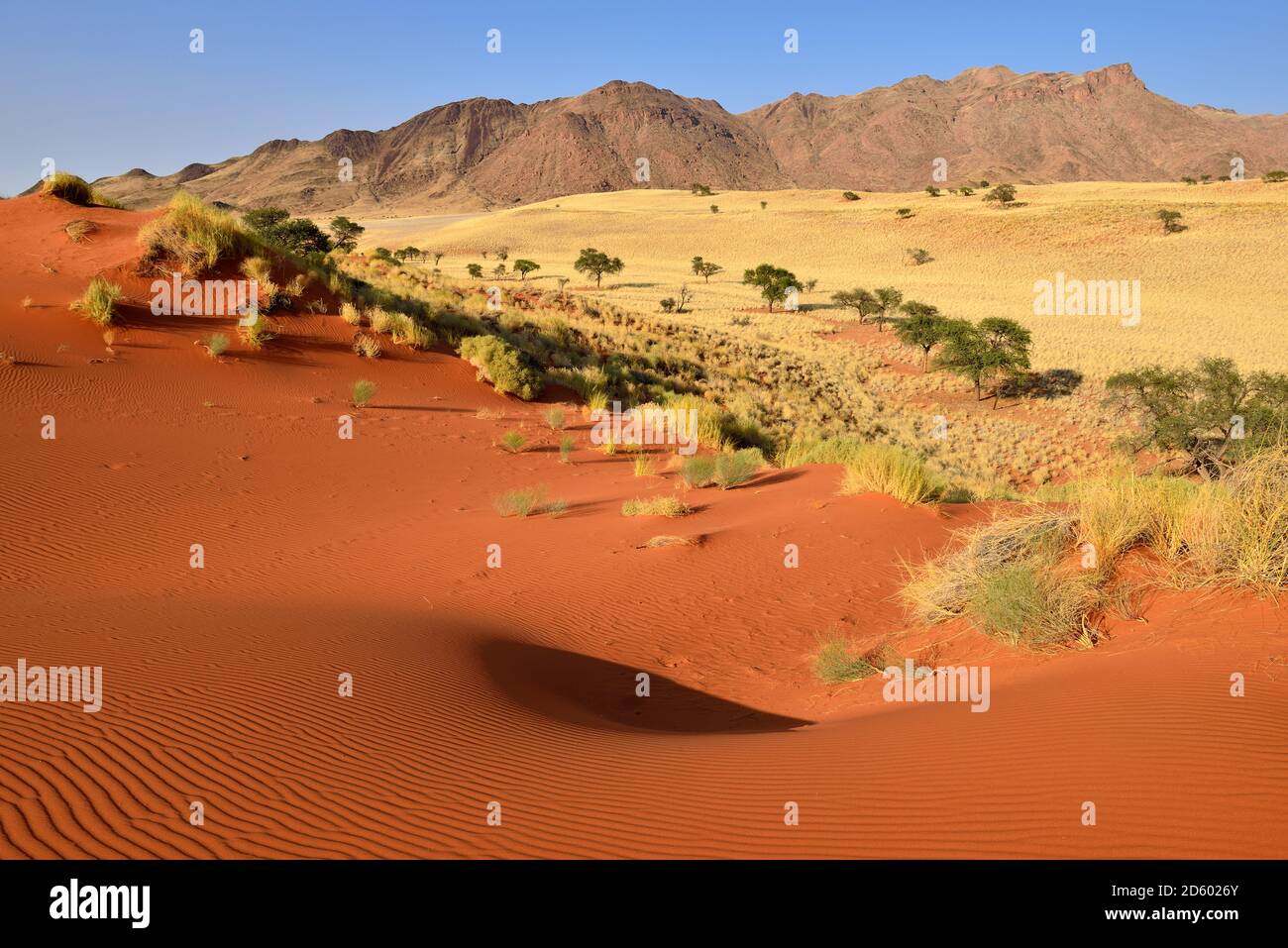 Afrika, Namibia, NamibRand Nature Reserve, rote Sanddünen und Gorasis Mountain Stockfoto