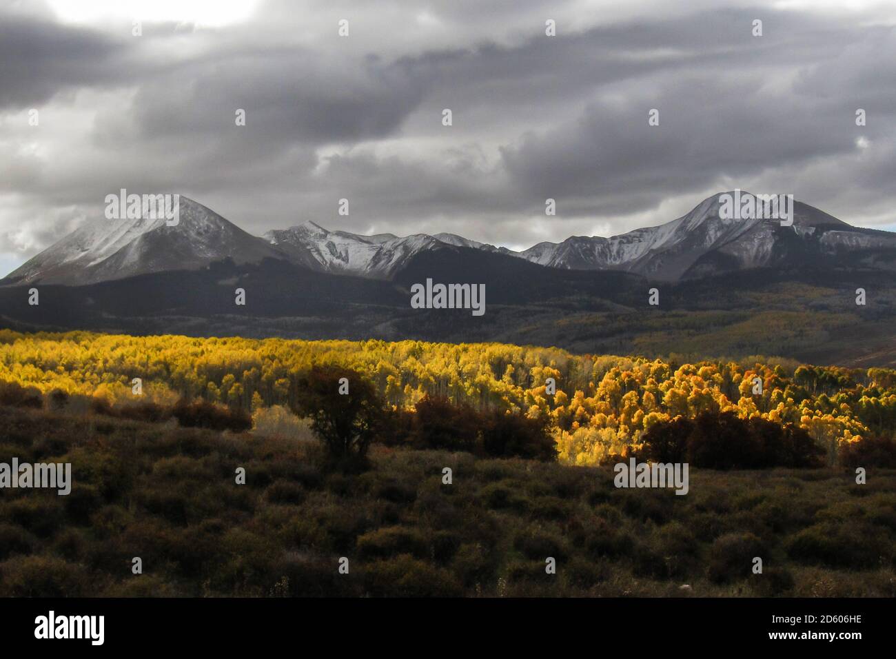 Sturmwolken sammeln sich um die schneebedeckten Gipfel der La Sal Mountains in Utah, USA, mit Aspen in goldenen Herbstfarben, die vom letzten Sonnenlicht i erleuchtet werden Stockfoto