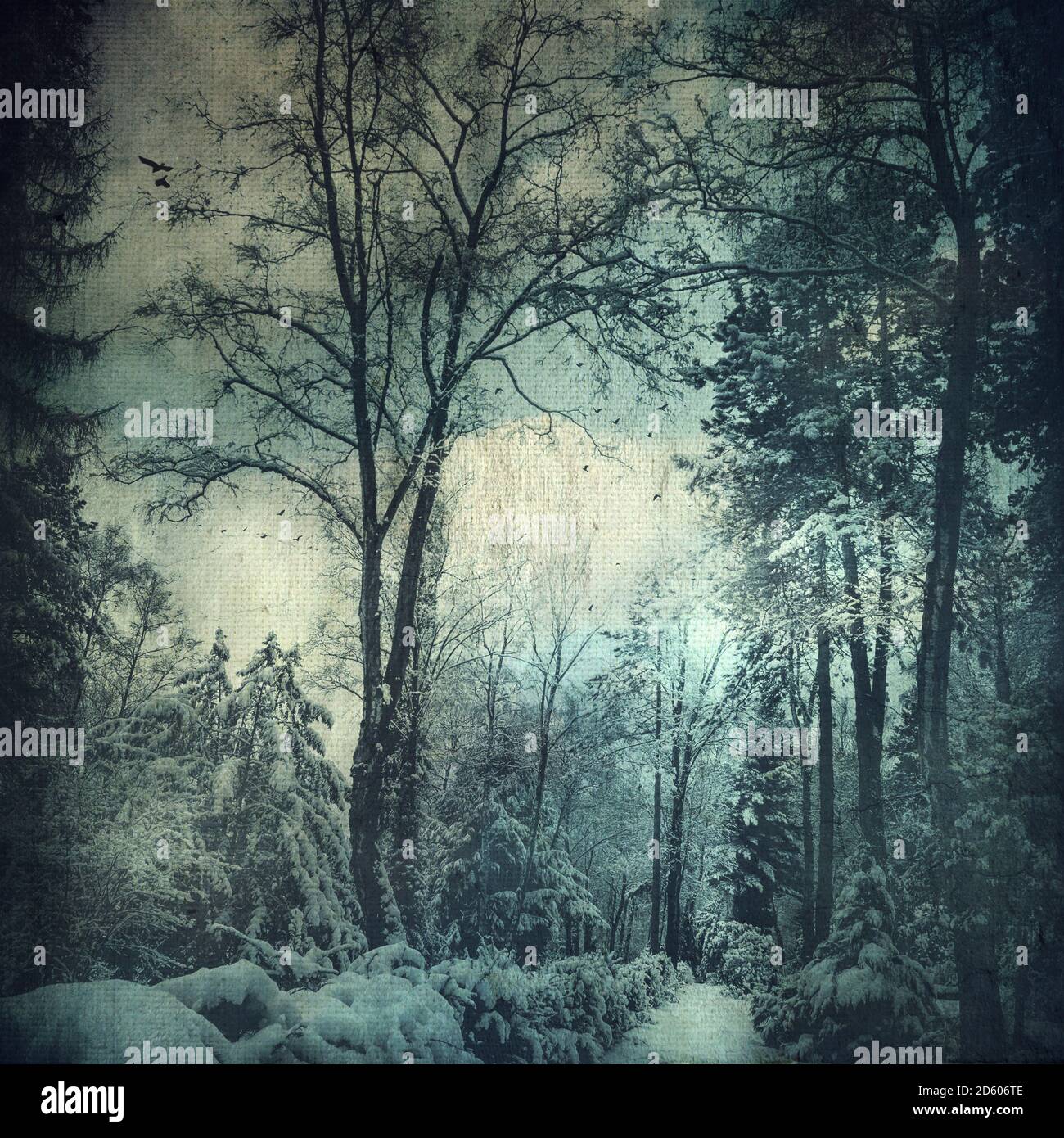 Verschneite Winterlandschaft in der Nähe von Wuppertal, Struktureffekt Stockfoto