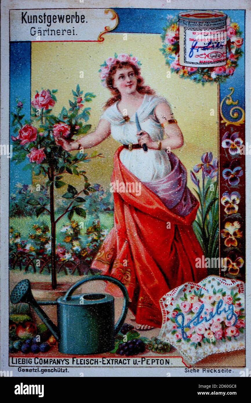 Bilderserie Dekorative Kunst, Gärtner, Frau als Gärtnerin in Rosen