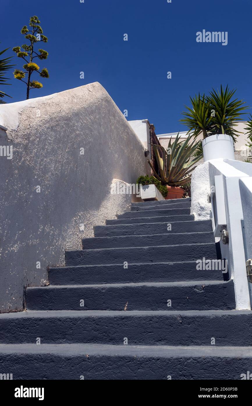 Santorini Straße und Agavenblume Pflanze hinter weiß getünchten Wänden Santorini Oia Griechenland Treppe Stockfoto