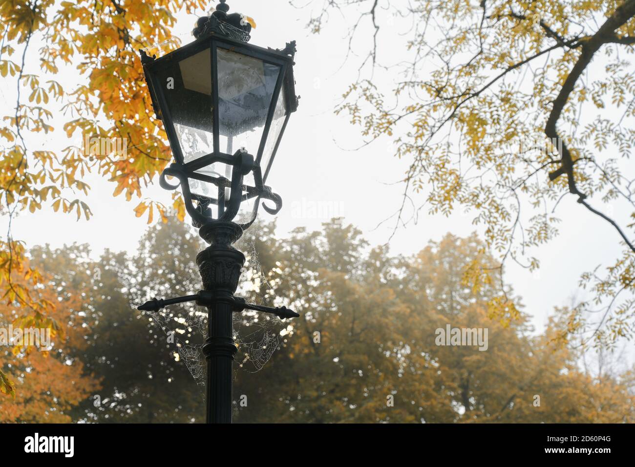 Nostalgische Lampe im Park mit Spinnweben an einem nebligen Herbstmorgen, Kopierraum, ausgewählter Fokus, enge Schärfentiefe Stockfoto