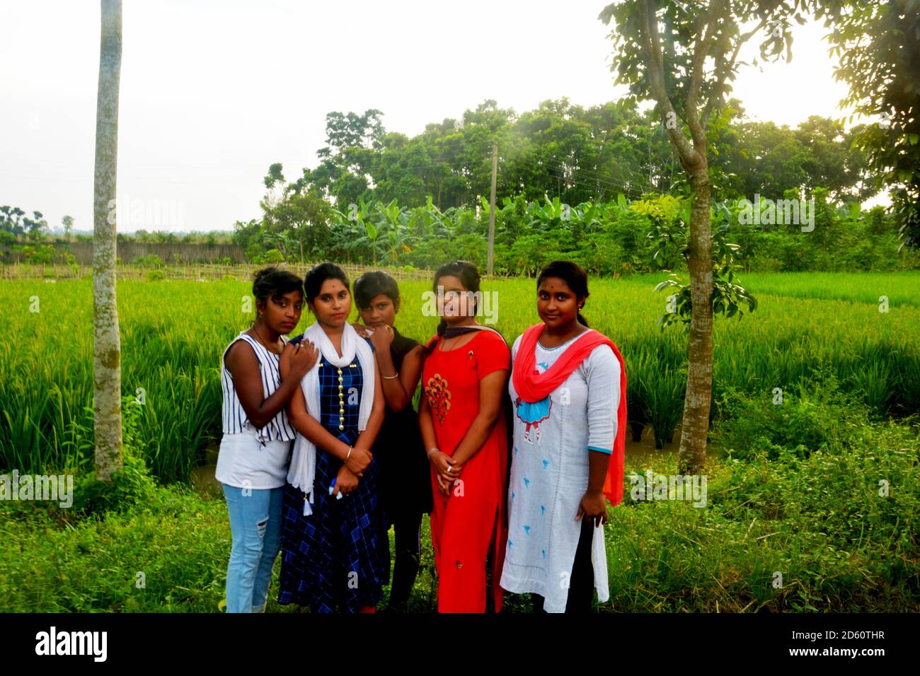 Nahaufnahme von sechs indischen Teenager-Mädchen in traditionellen bunten indischen Kleid und posiert vor einem Reisfeld, selektive Fokussierung Stockfoto