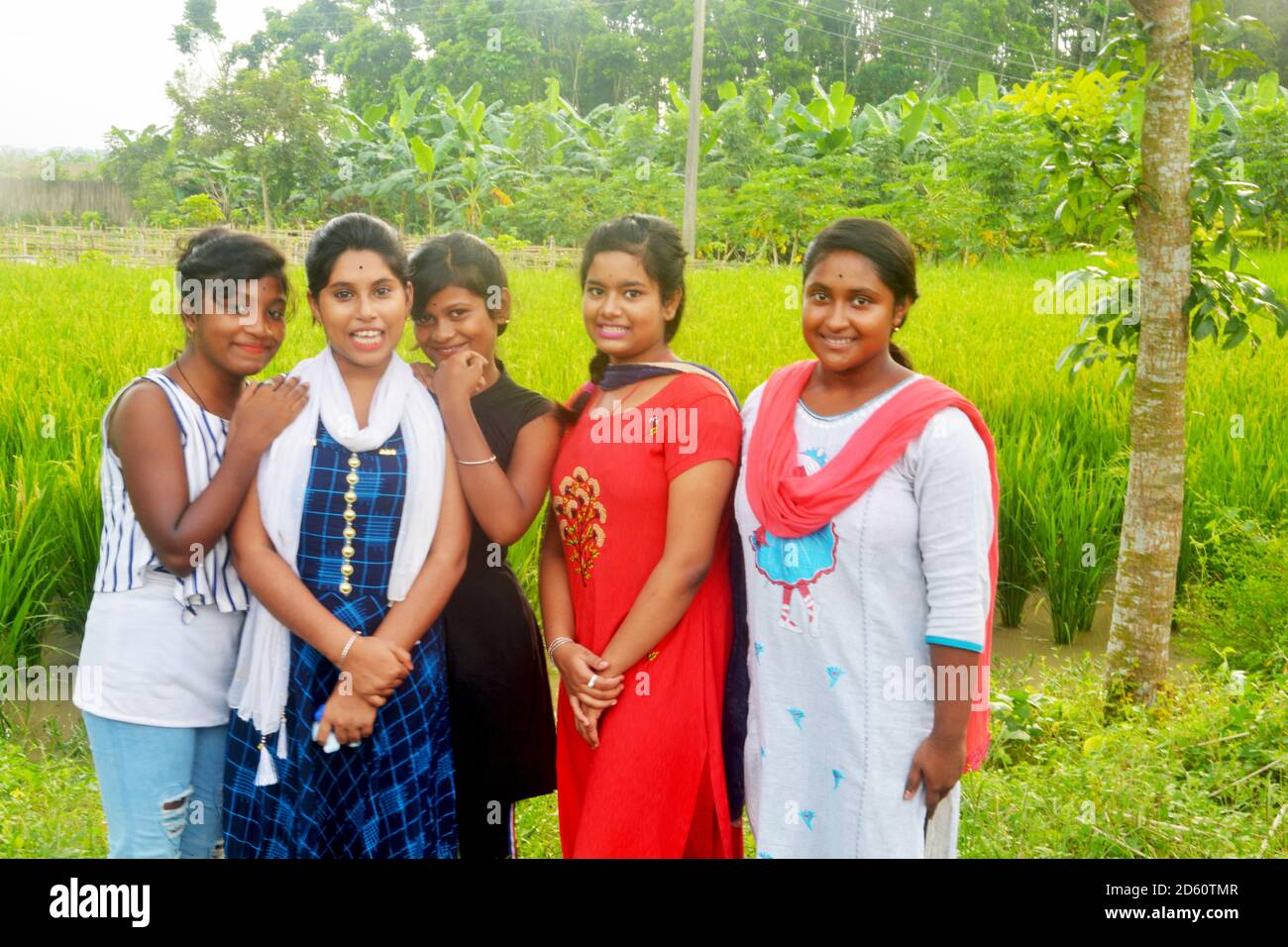 Nahaufnahme von sechs indischen Teenager-Mädchen in traditionellen bunten indischen Kleid und posiert vor einem Reisfeld, selektive Fokussierung Stockfoto