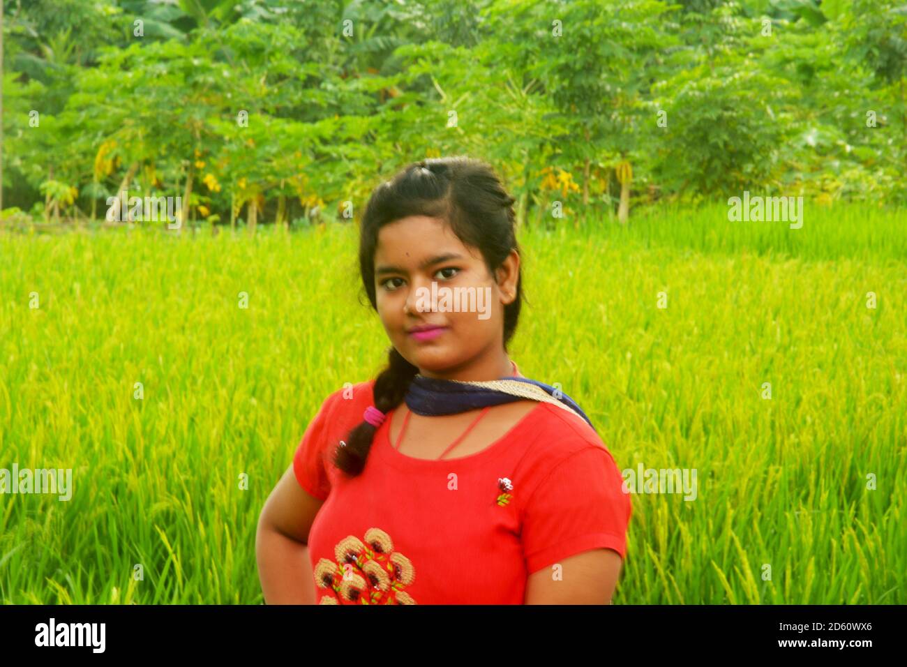 Nahaufnahme eines Teenagers Mädchen tragen traditionelle indische Kleidung in einem landwirtschaftlichen Feld mit grünen Reisreis, selektive Fokussierung Stockfoto