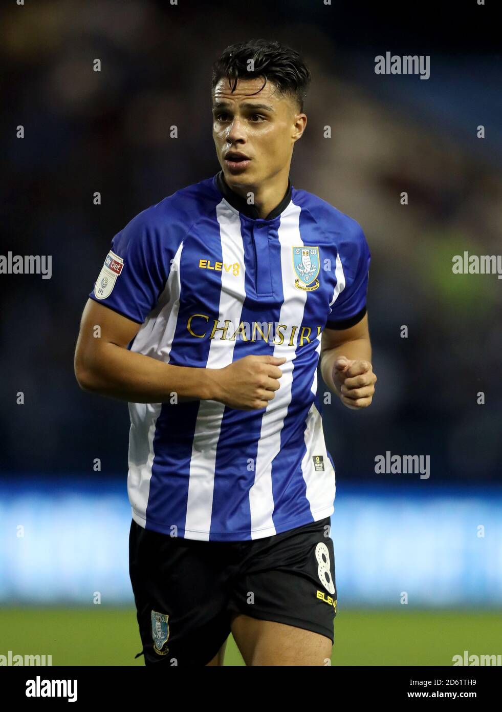 Joey Pelupessy, Sheffield Mittwoch Stockfoto