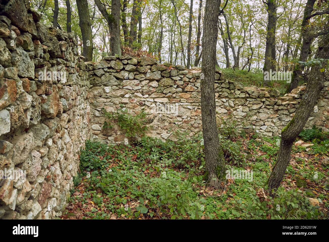 Alte Steinmauer in einem Wald Stockfoto