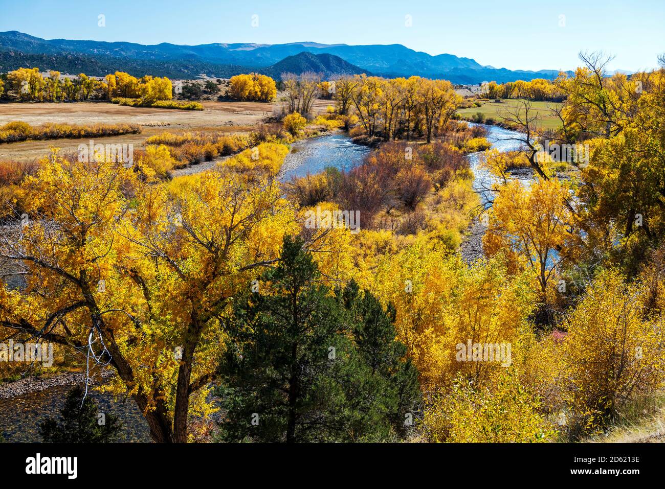 Herbstansicht des Arkansas River; Big Bend State Wildlife Area; zwischen Salida und Buena Vista; Chaffee County; Colorado; USA Stockfoto