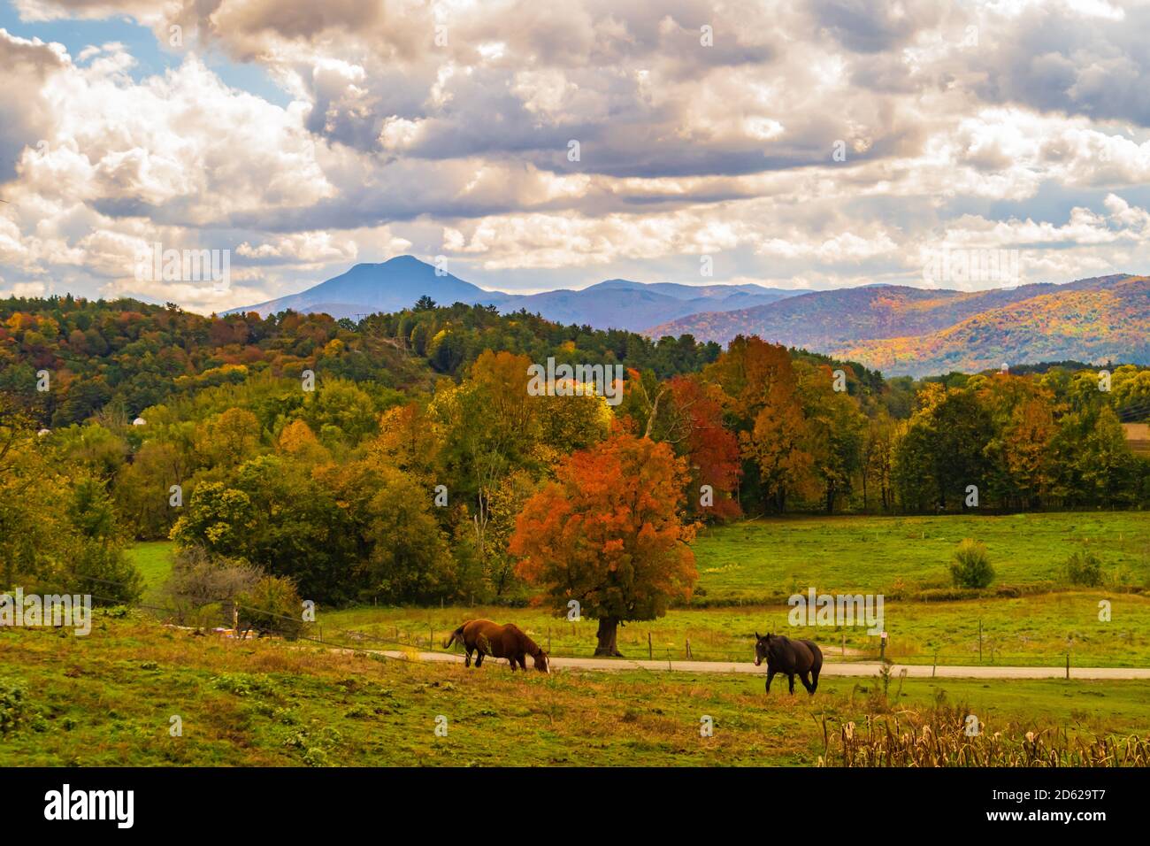Ansicht der Kamele Höcker Berg in Herbstlaubjahreszeit, in Vermont. Stockfoto
