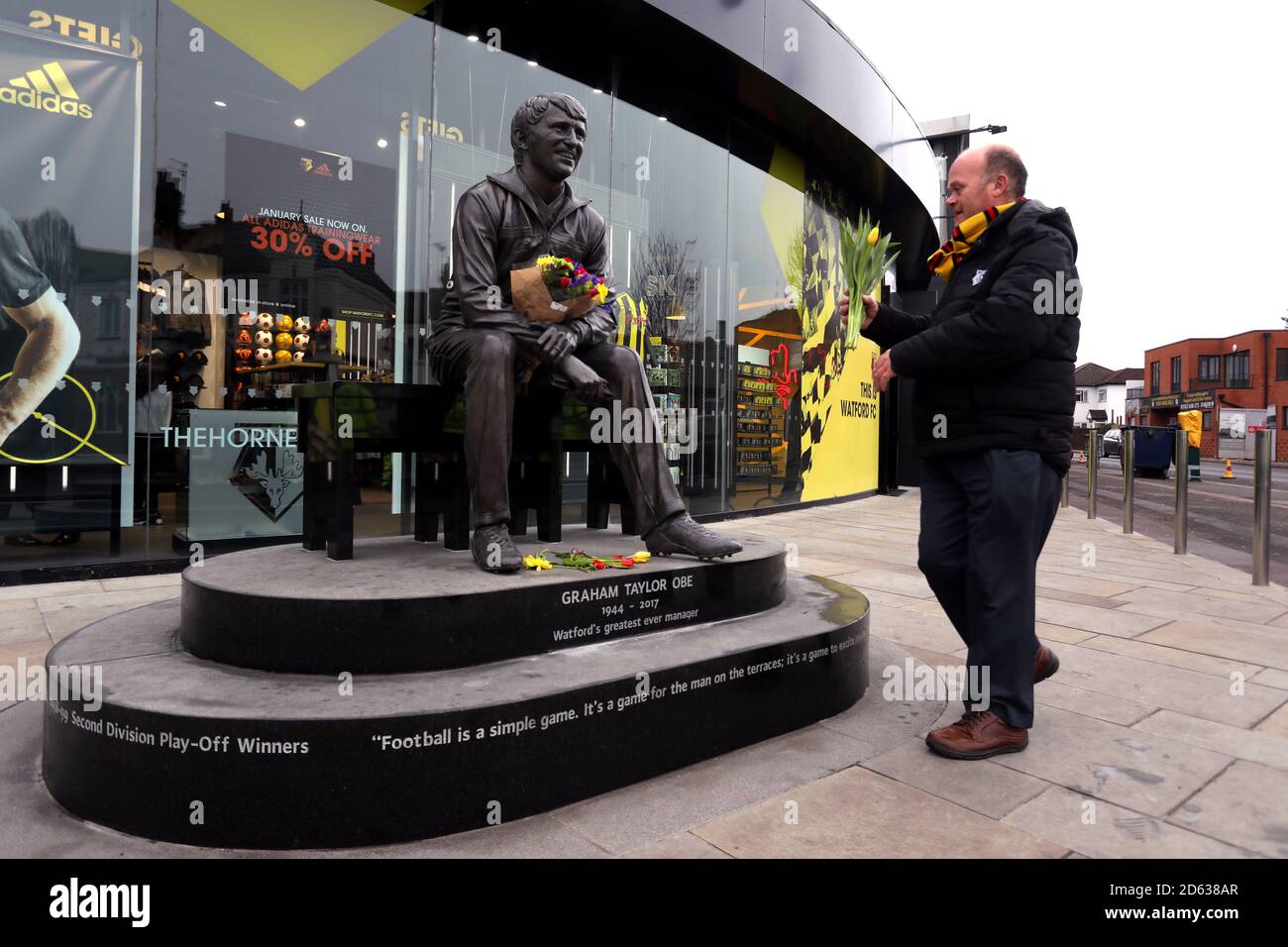 Ein Fächer legt Blumen an die Graham Taylor Statue draußen Der Vicarage Road kurz nach dem 2-jährigen Jubiläum von Sein Tod Stockfoto