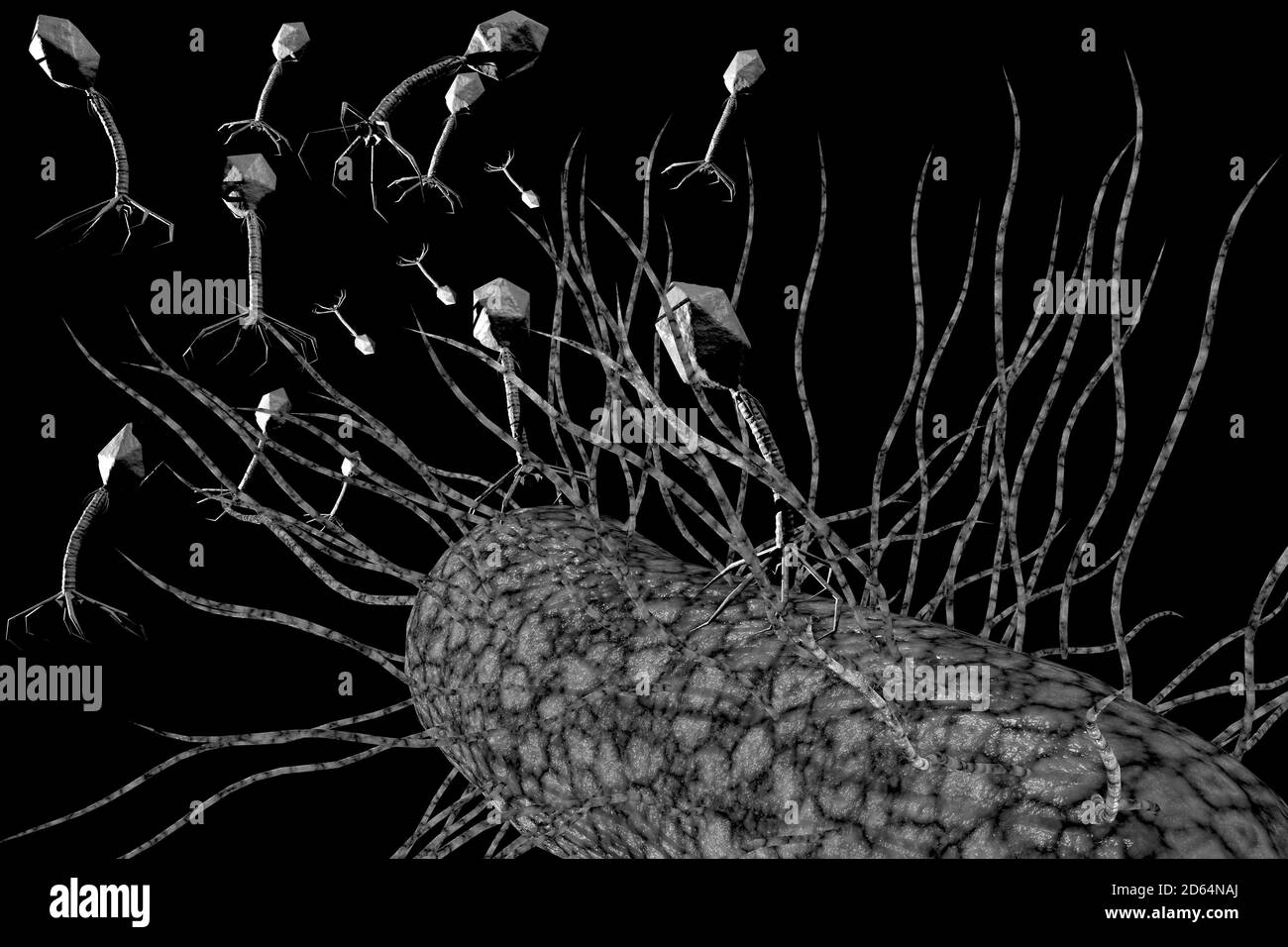 Closeup Bakteriophage Virus greift Bakterienzellen 3D-Abbildung an Stockfoto