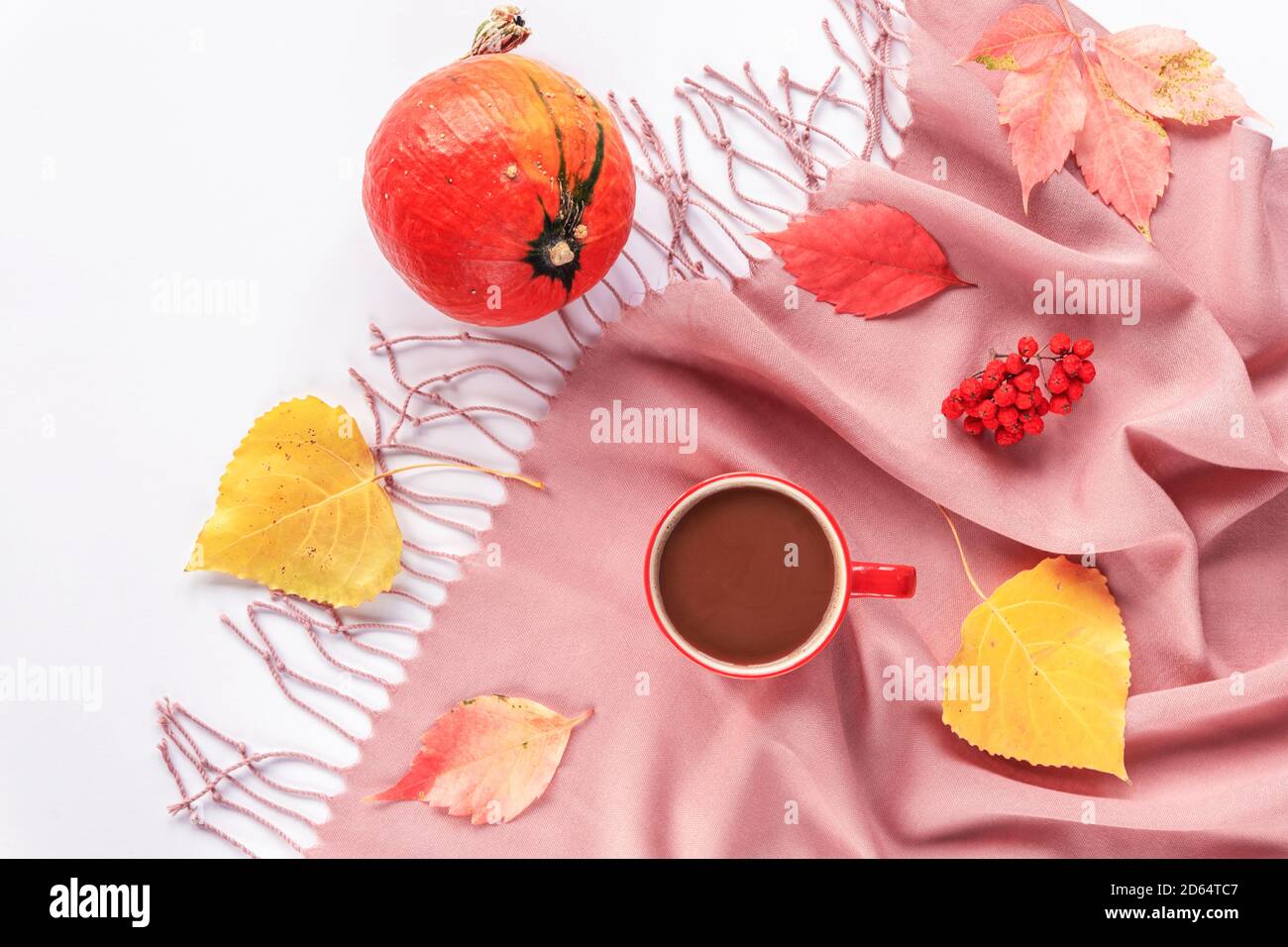 Herbst flach legen mit Kaffee oder Kakao Tasse, Kürbis und bunten Blättern auf rosa Schal. Draufsicht, Kopierbereich. Weißer Hintergrund. Stockfoto