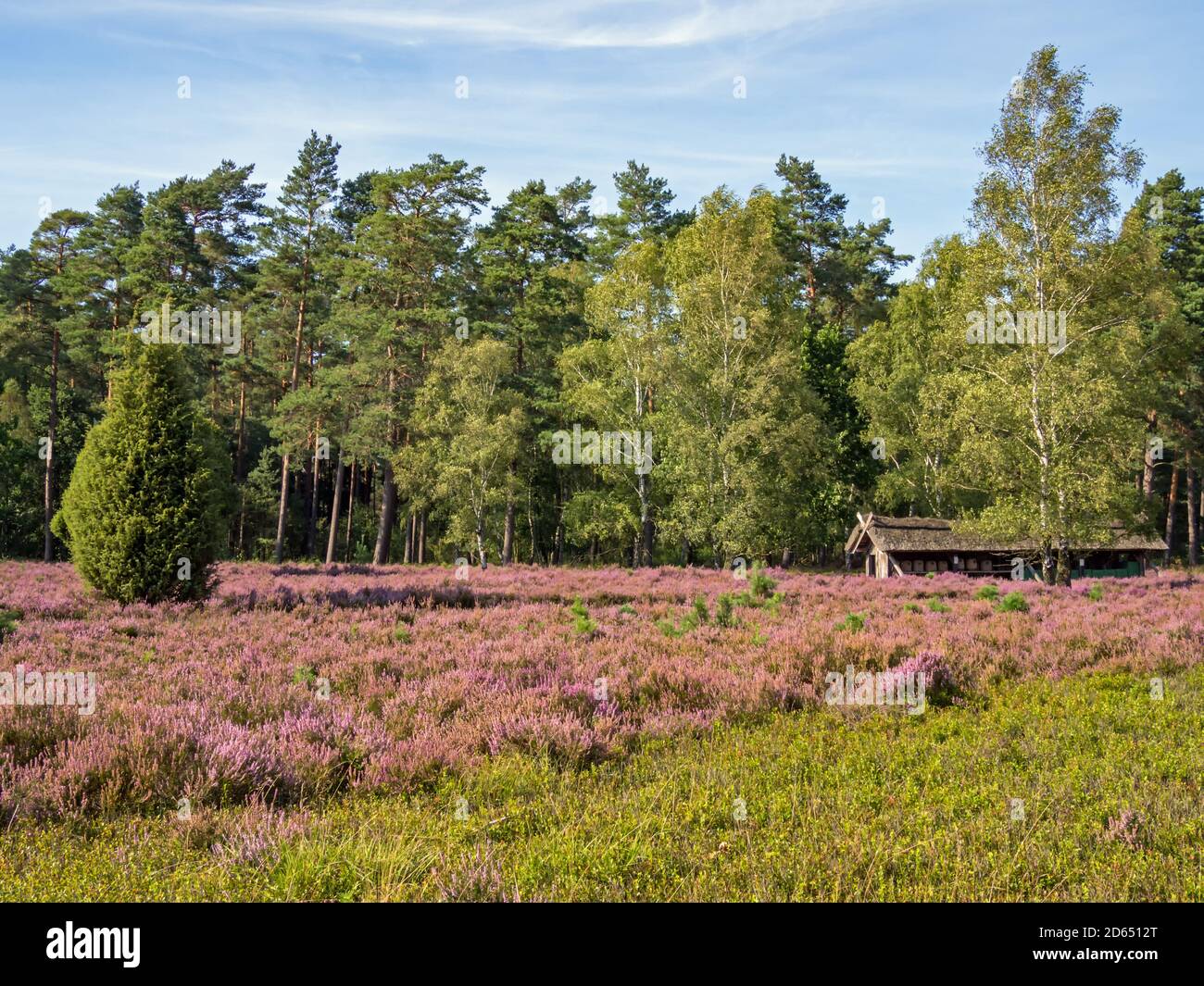 Lüneburger heide luftbild -Fotos und -Bildmaterial in hoher Auflösung ...