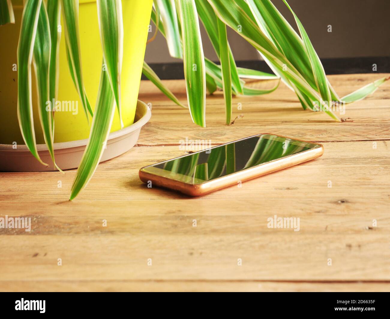 Handy auf einem Holztisch im Wohnzimmer, in der Nähe einer Pflanze  Stockfotografie - Alamy