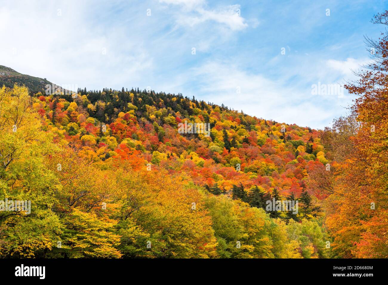 Laubwald auf dem Gipfel der Herbstlaub in der Berge und blauer Himmel mit Wolken Stockfoto